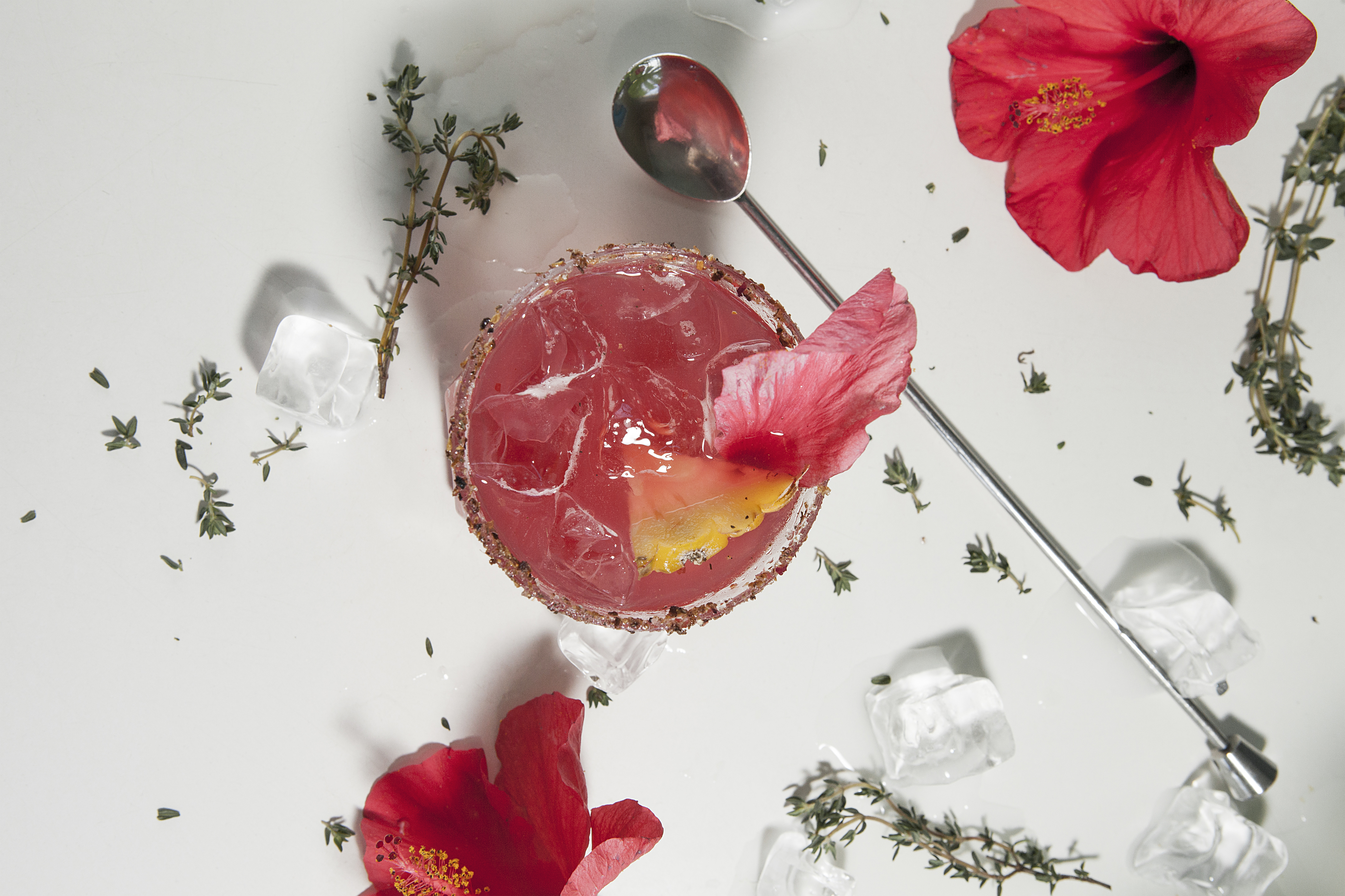 From classic Old Fashioneds to modern Martinis