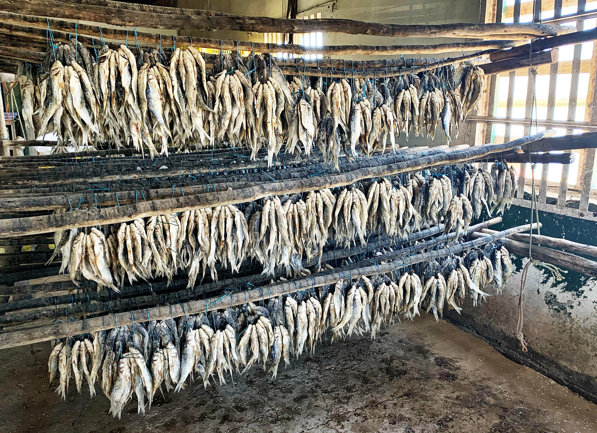 The contrasting faces of Velddrif, where harders turn into bokkoms