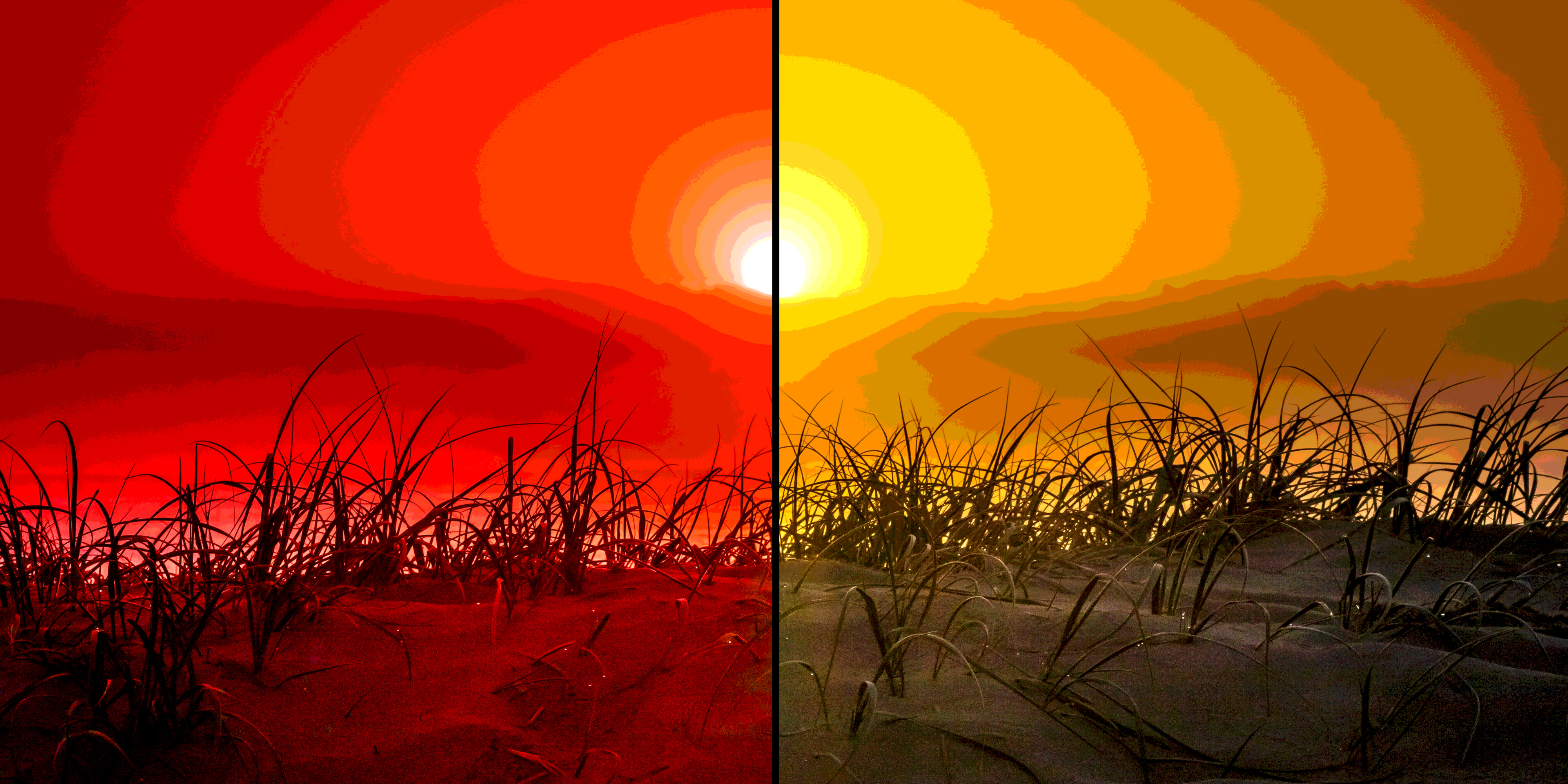 Illustrative image. Photo by Andy Hutchinson on Unsplash