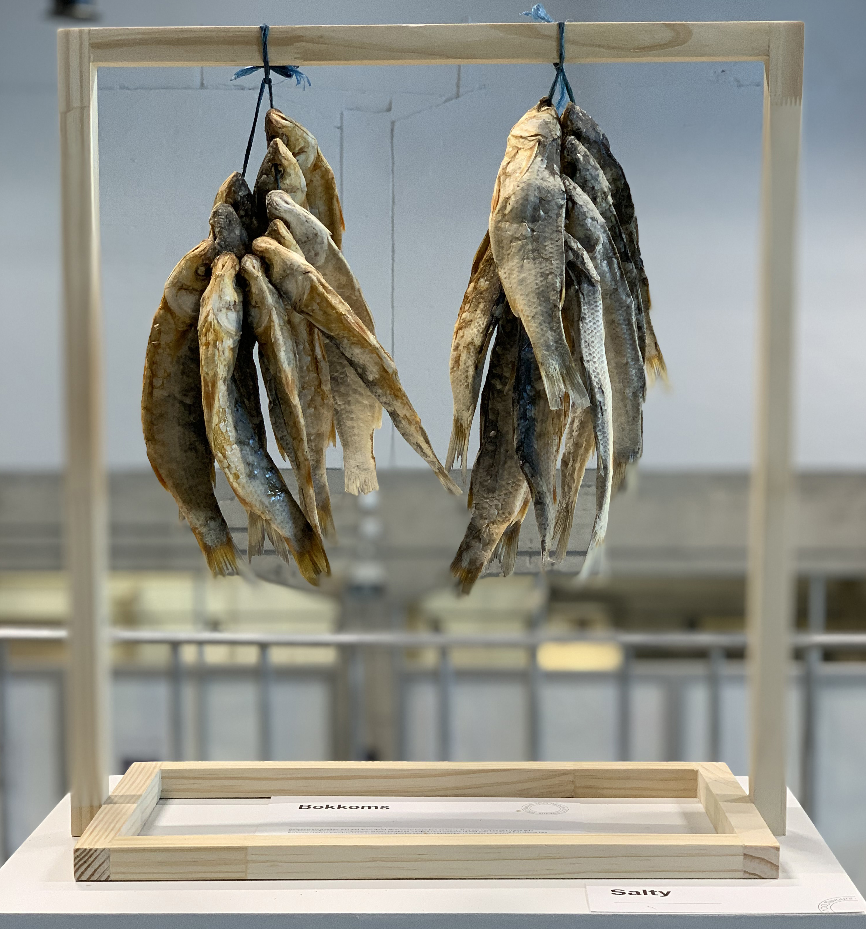 Quest for 100 core South African flavours