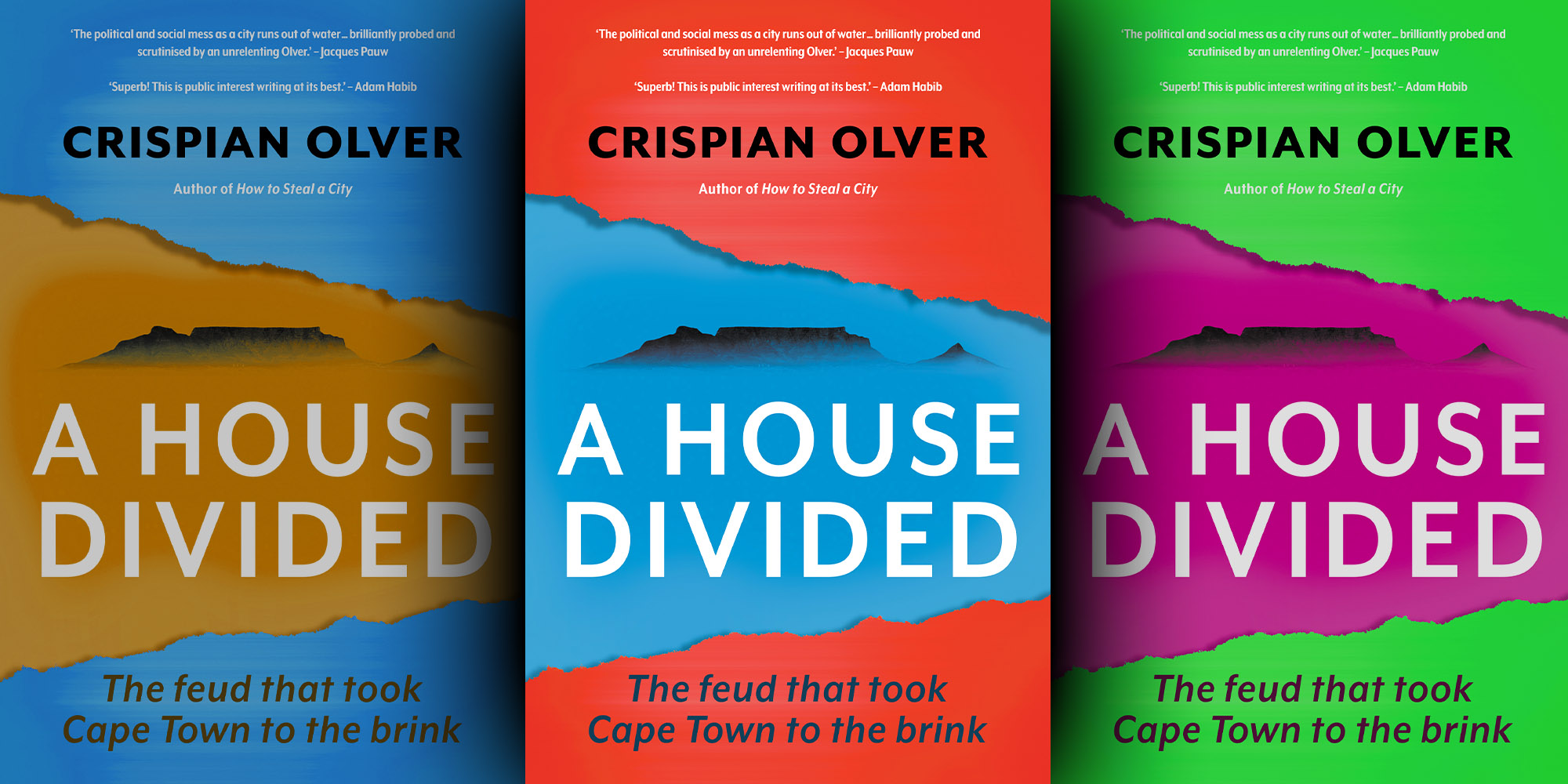 A House Divided: A search for the politics and divisions that brought Cape Town to its knees