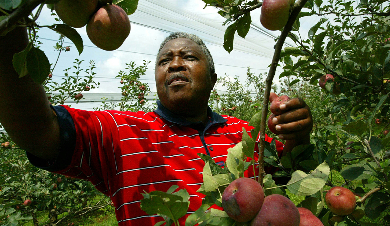 Ministers and Acronyms: The ANC on rural development and land reform