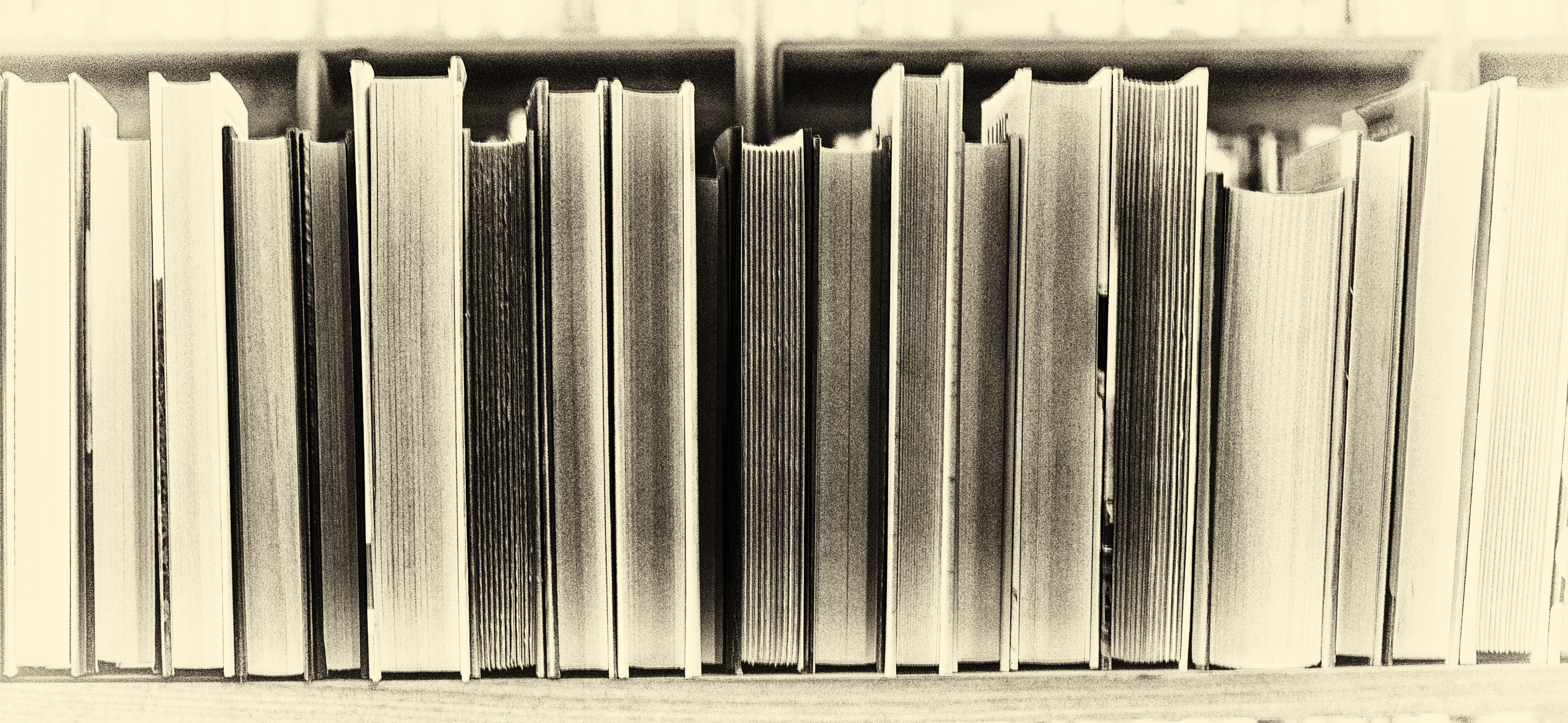 Honouring our heroes through a special library would speak volumes