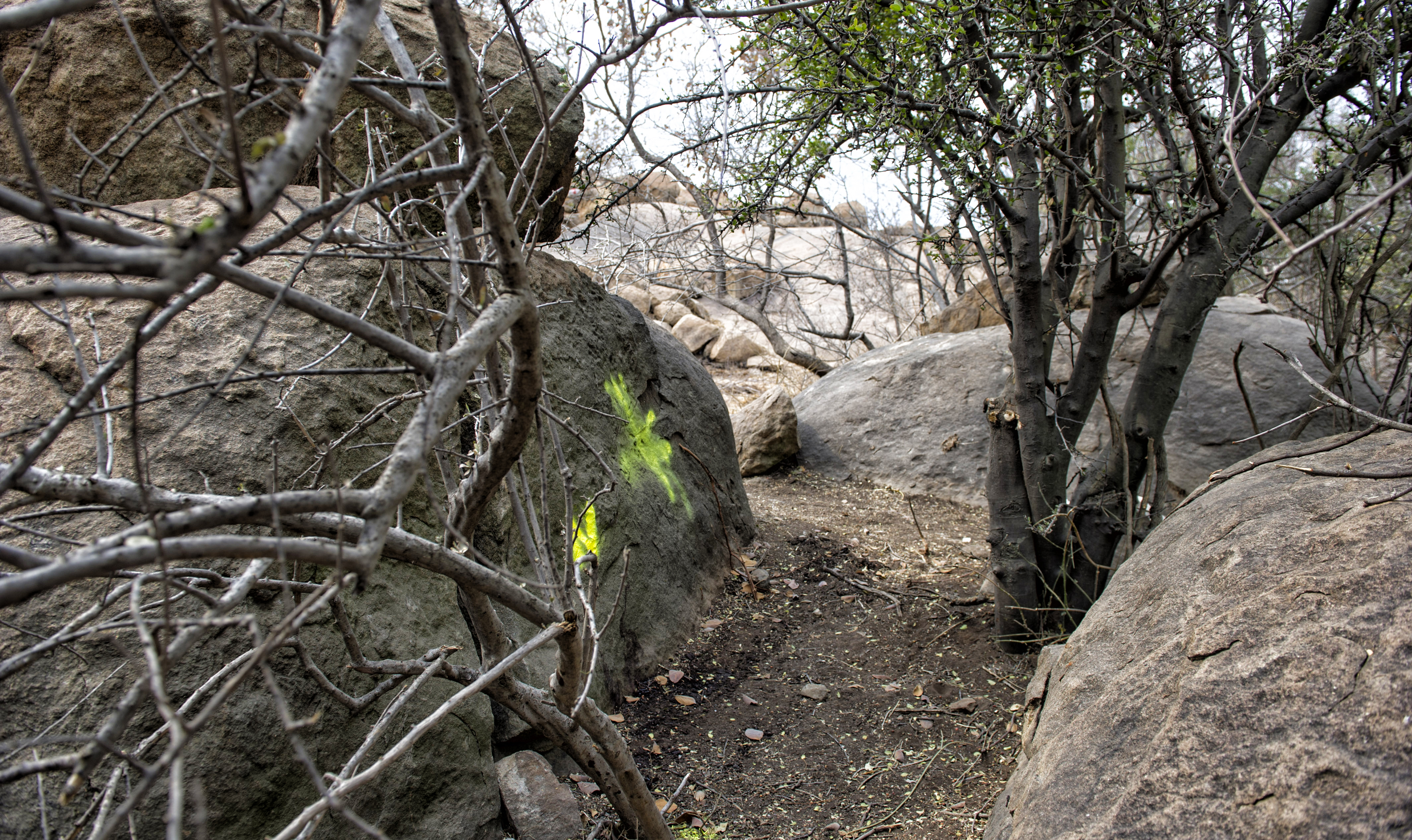 Six years on, there is no accountability for the elite police unit shootings at Marikana Scene 2