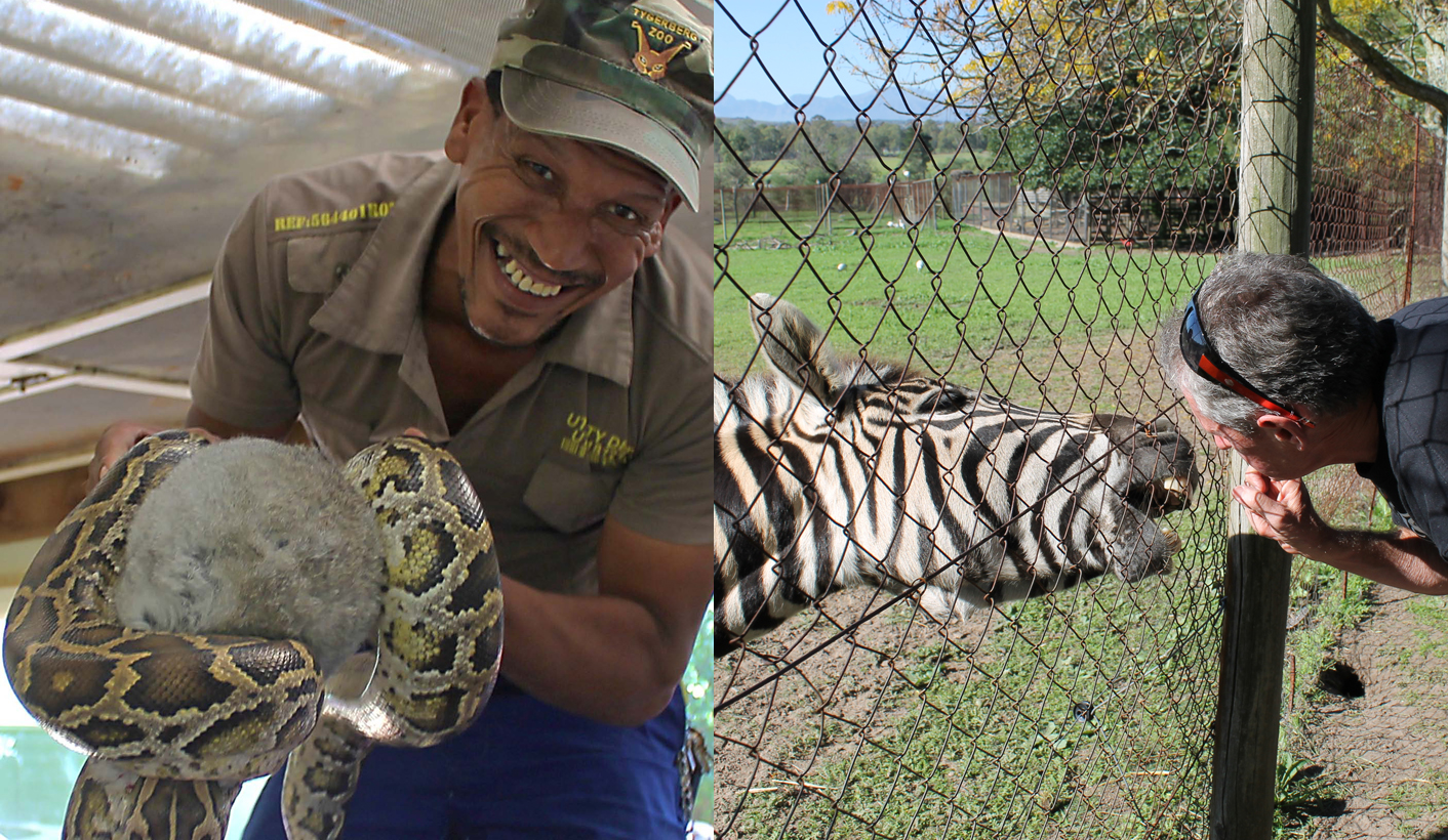 We lost a zoo: Western Cape's only zoo closes