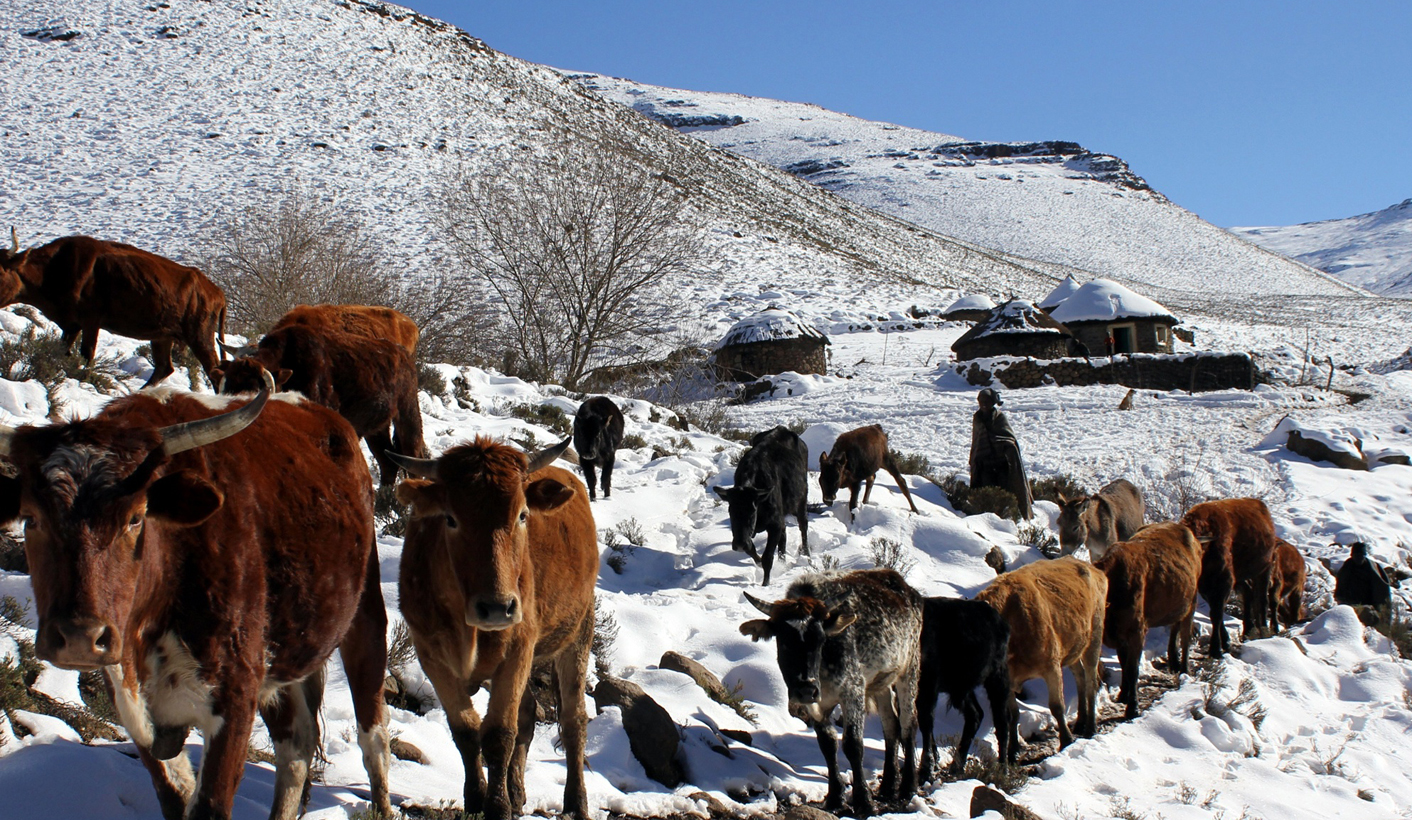 Lesotho - a slow descent into starvation