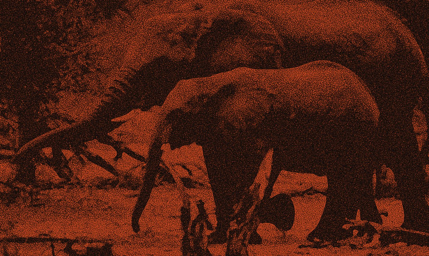 Trade in wildlife body parts: where the clocks have no hands