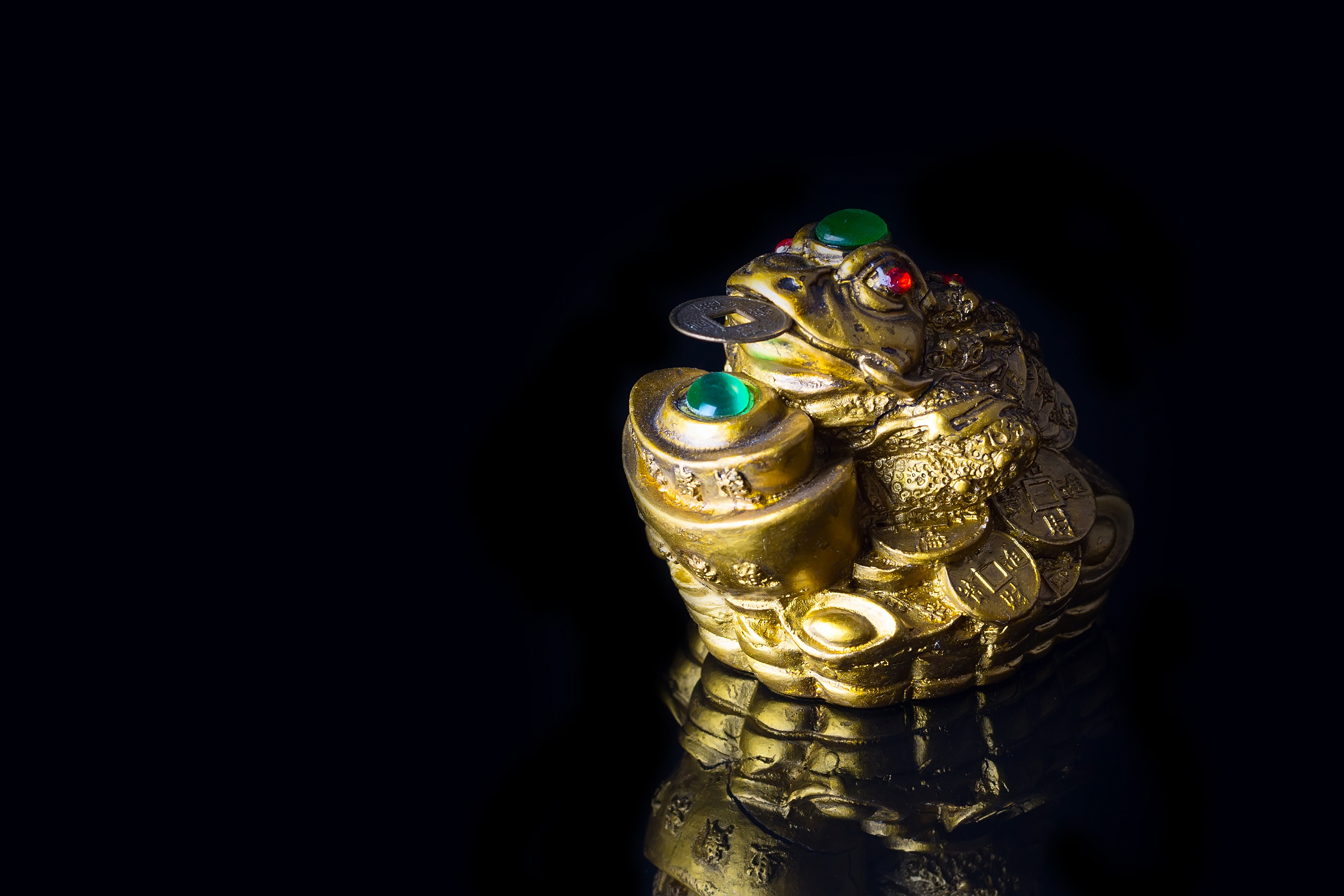 Brulpadda – Let’s not squander the ‘money toad’