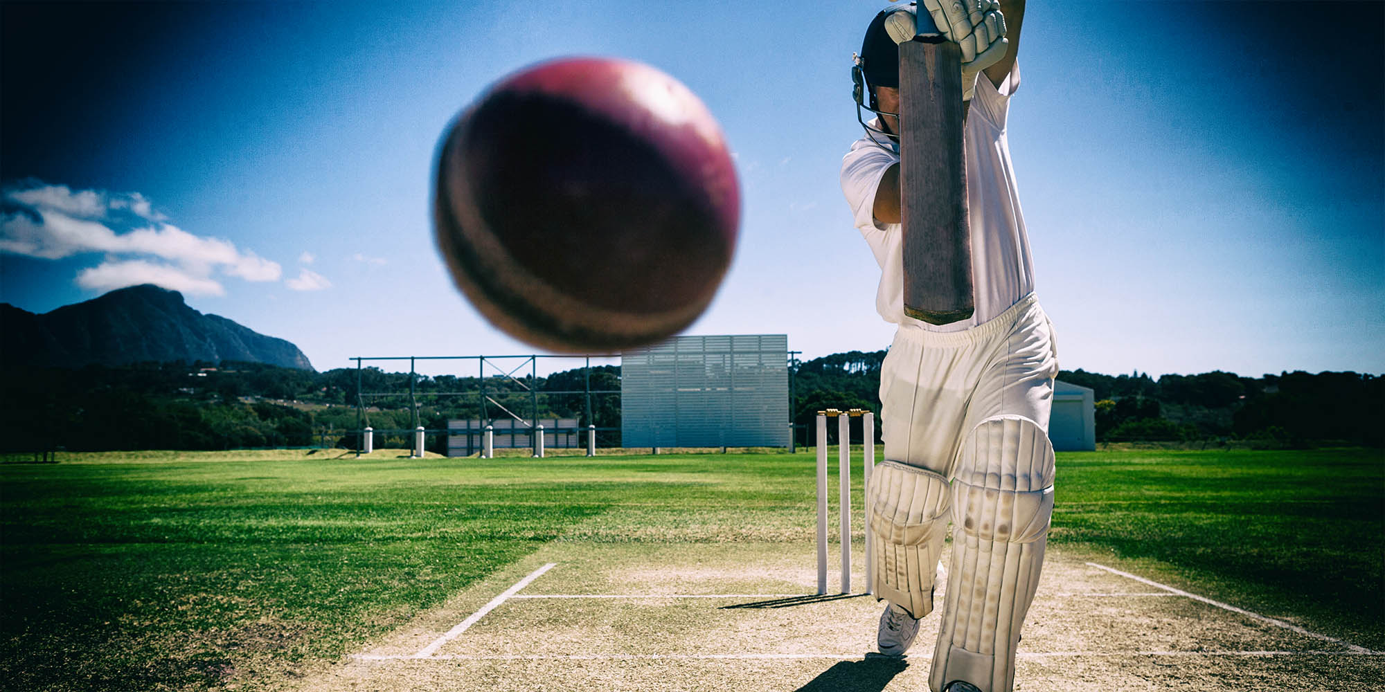 Cricket South Africa forced to hand over full forensic report to portfolio committee