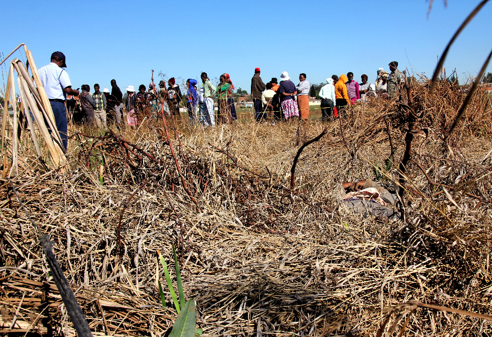 d3042356a4203ac428a726309ec3172b