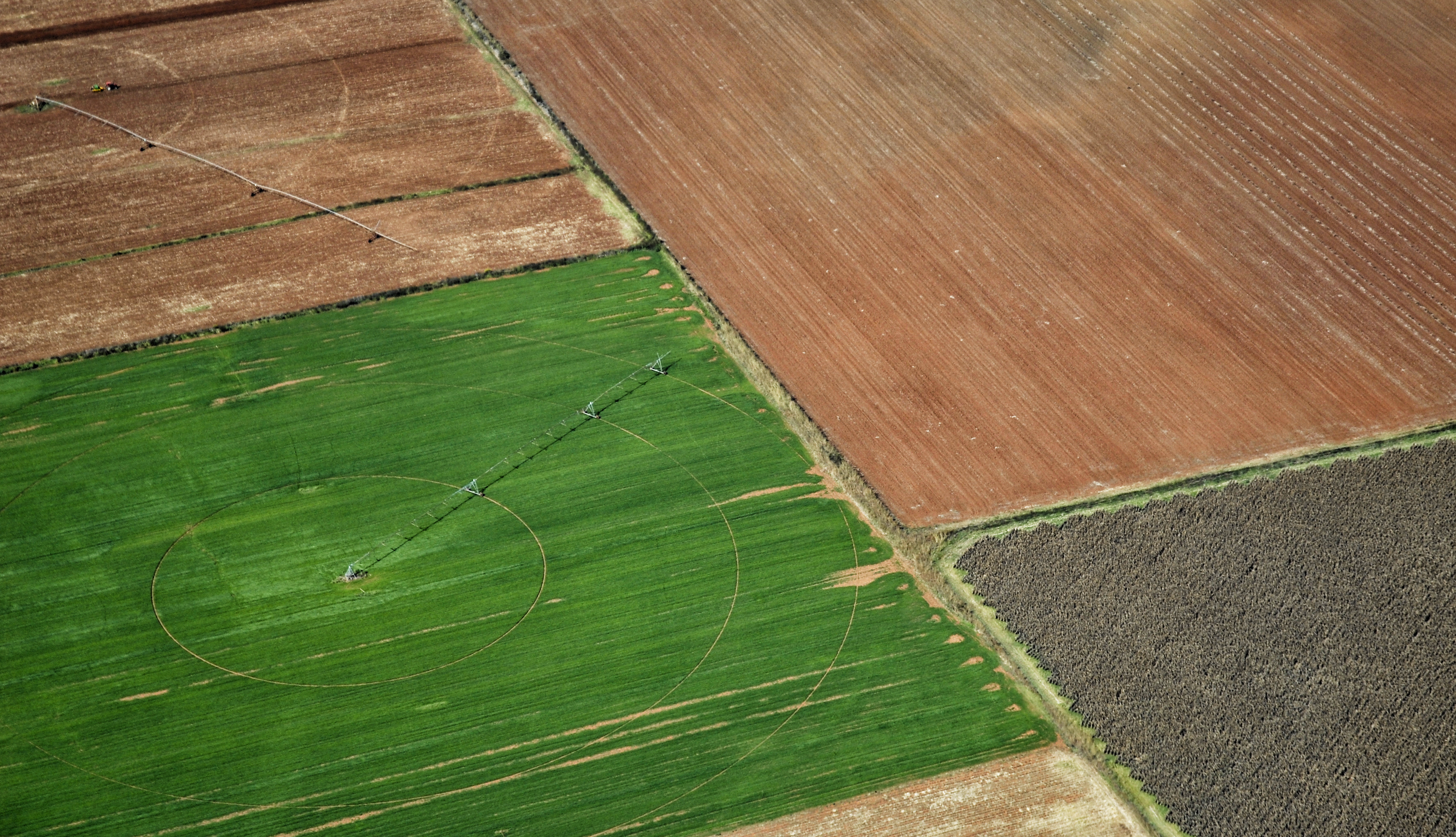 Divided in our diversity – the Vereeniging land expropriation hearings