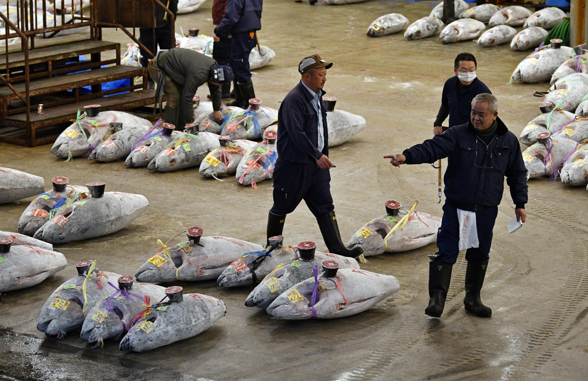 Last orders as Tokyo's Tsukiji market relocates