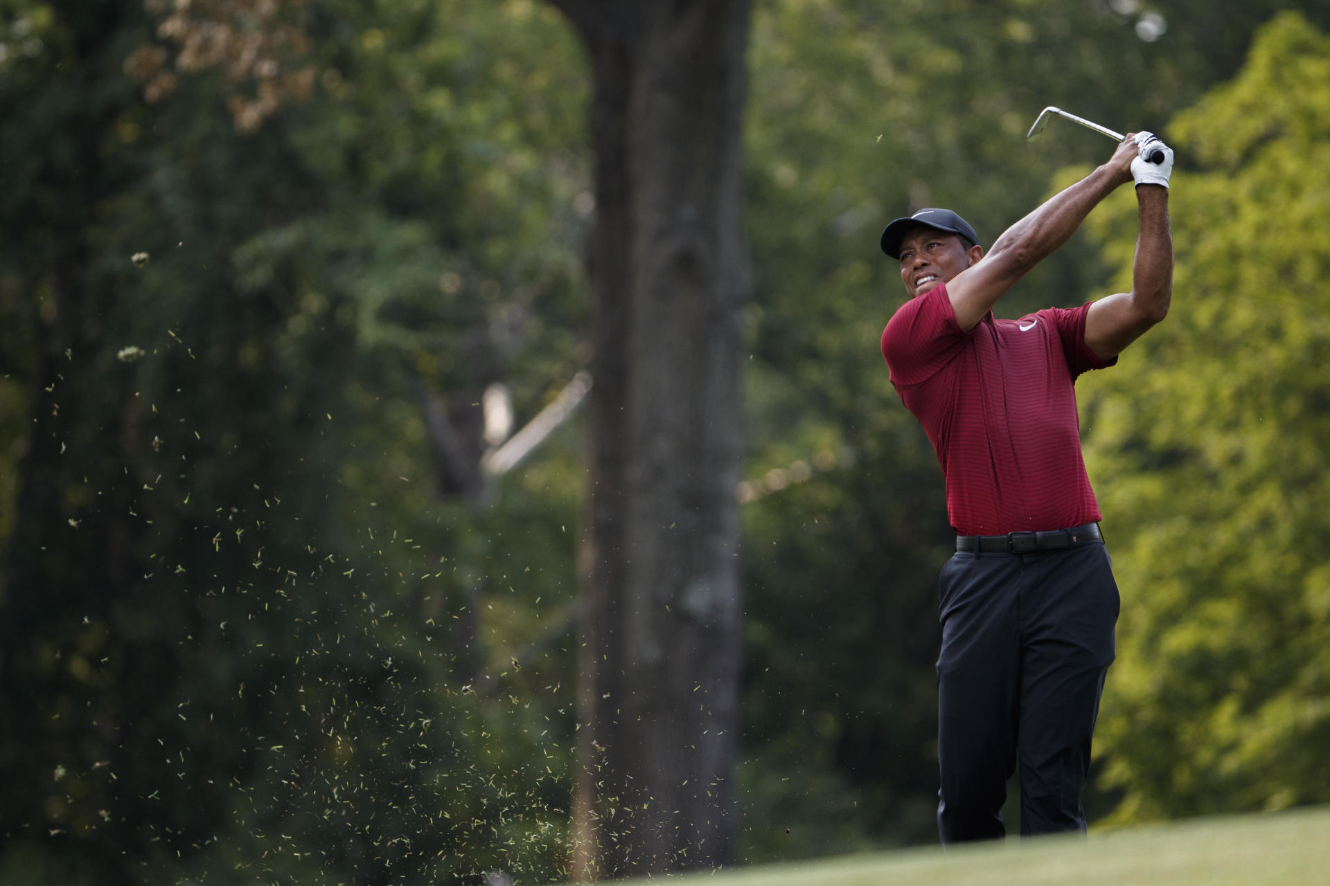 Tiger leaps into early lead at PGA's BMW Championship