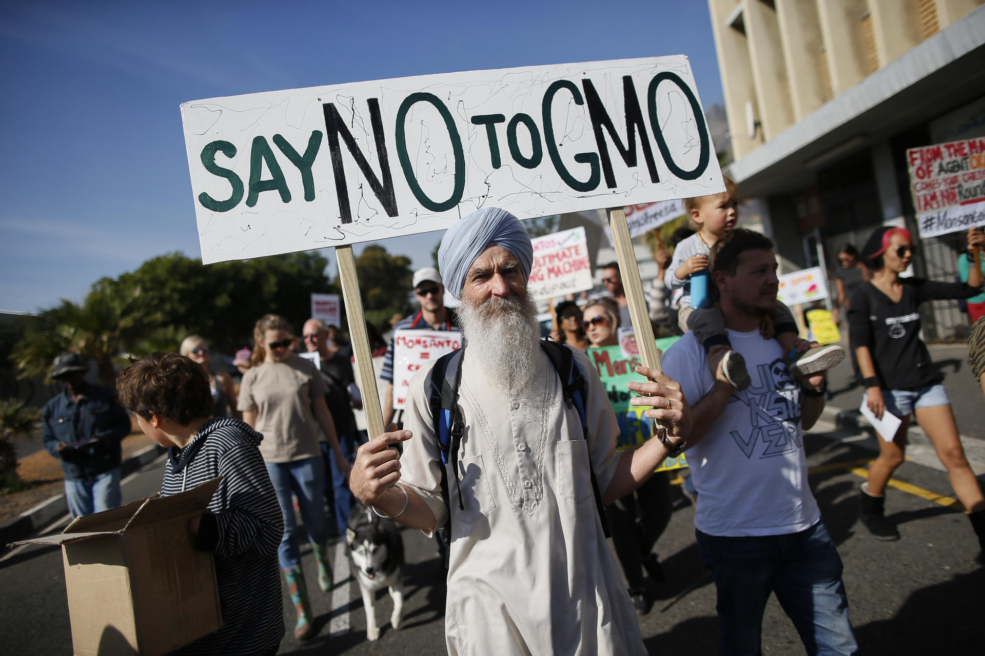 Vegter – a prisoner of genetic industry’s 'facts'