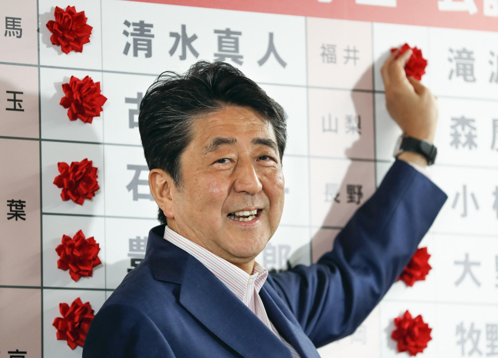 Japan Upper House election