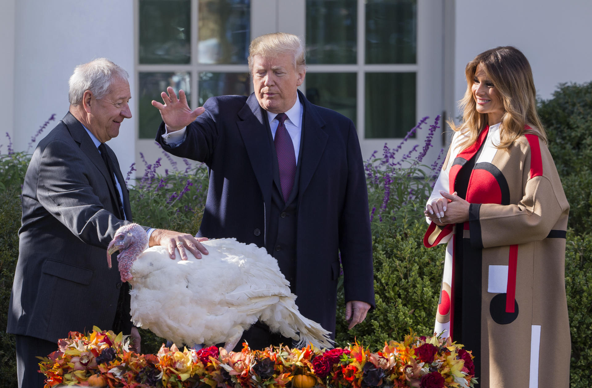 US President Donald J. Trump participates in the pardoning of the National Thanksgiving Turkey