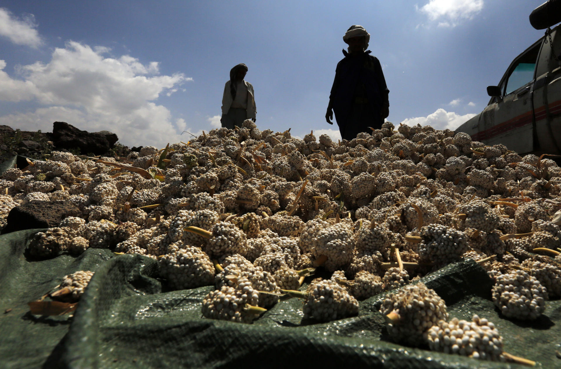 UN warns of danger of widespread famine in Yemen