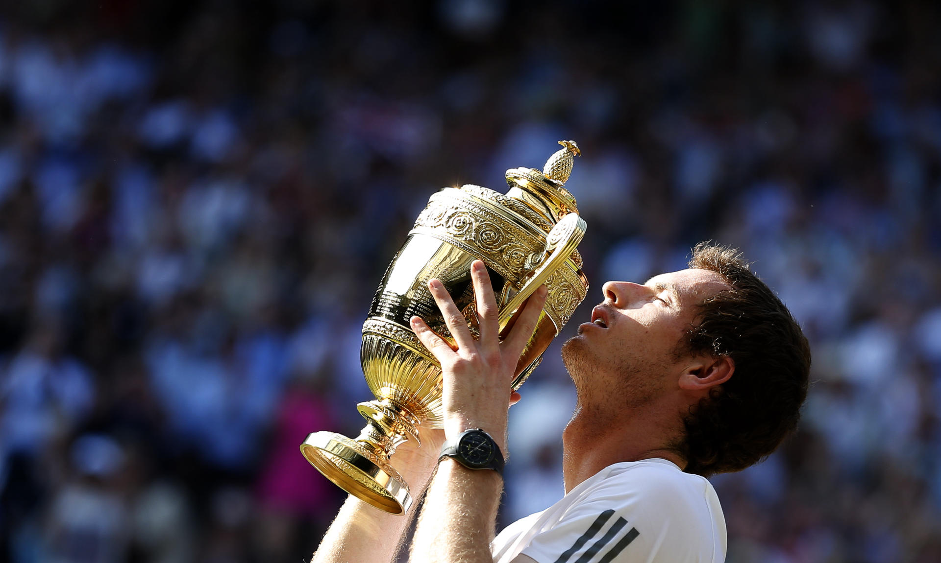 Andy Murray announces retirement plans
