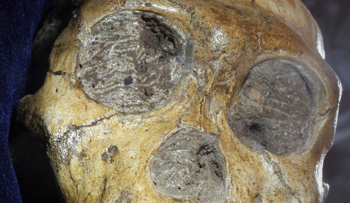 A 'Wunderkammer' for Braamfontein