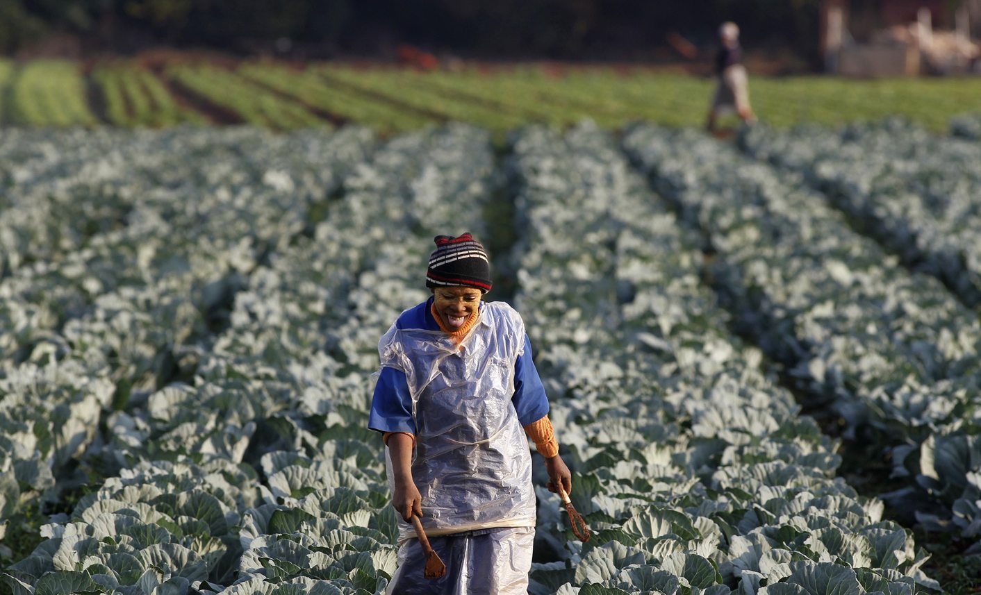 A worker walks between rows of vegetables at a farm in Eikenhof