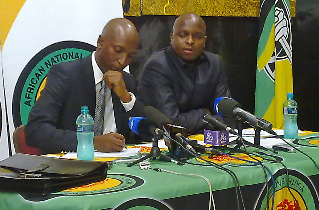 malema lawyer