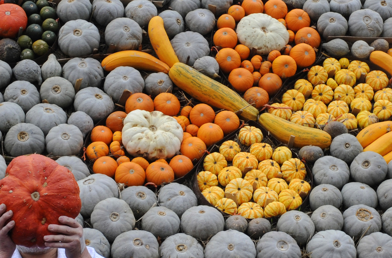 The Decoder: Faking an organic