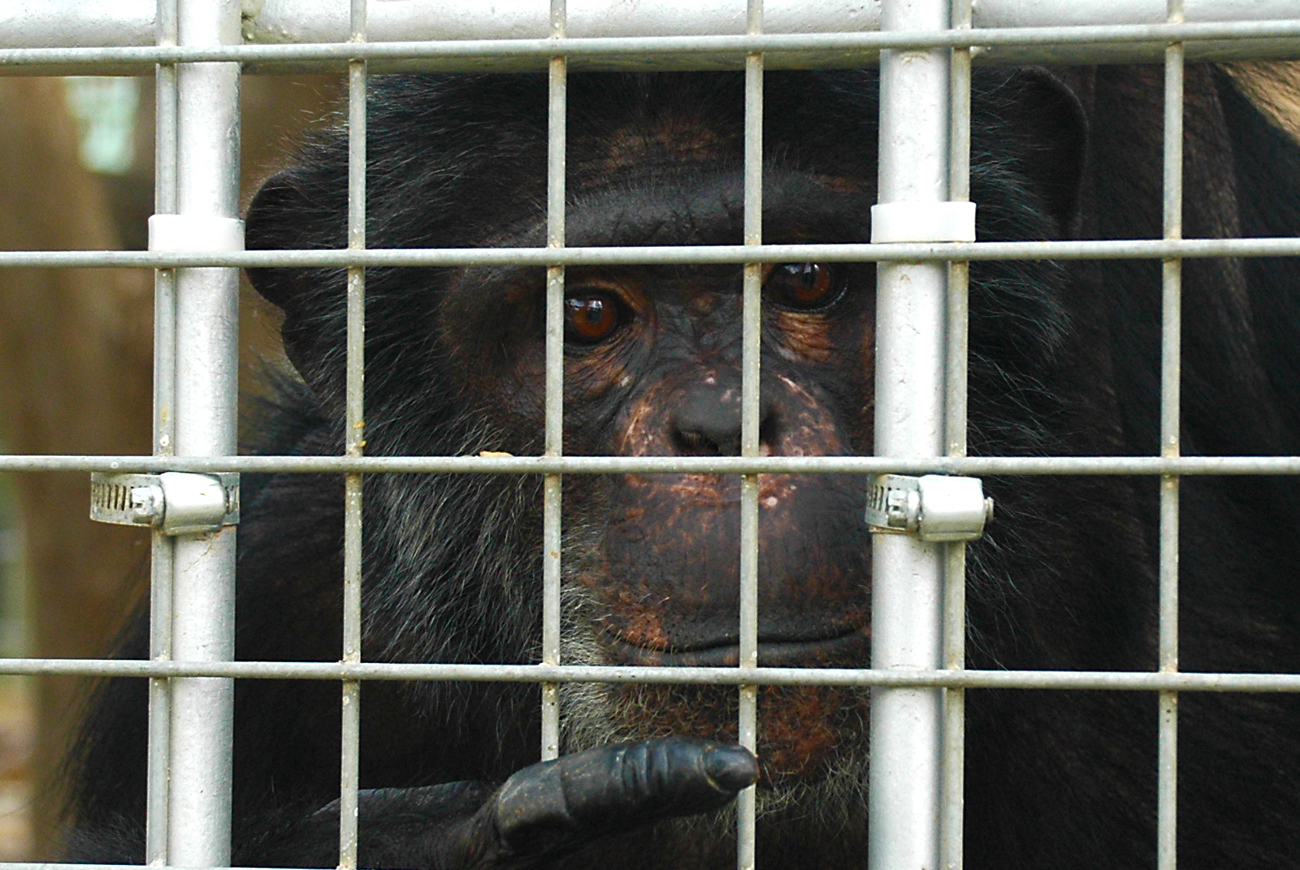 Libyan War's forgotten sufferers