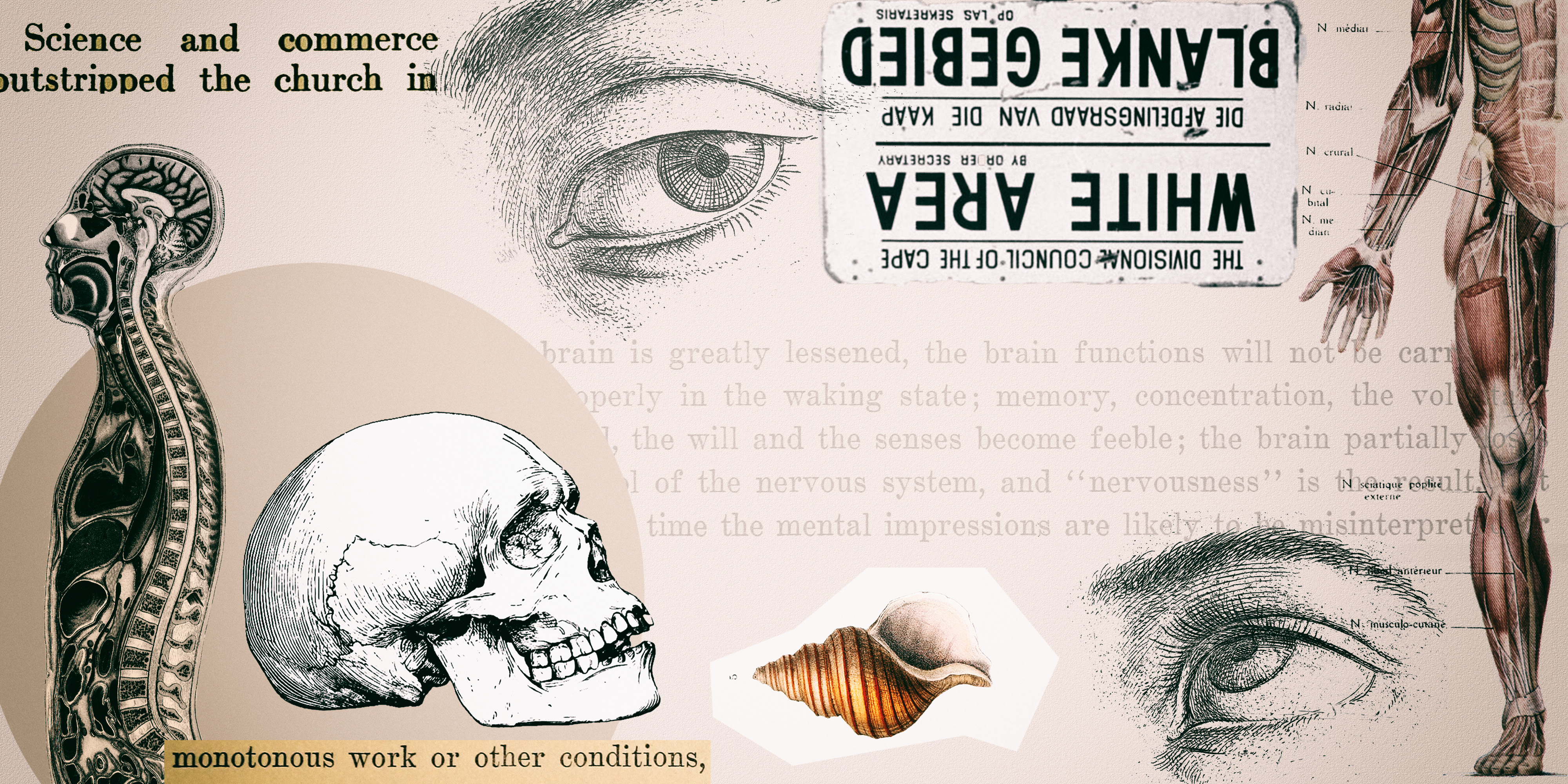 The stubborn stickiness of race science in SA in the 21st century