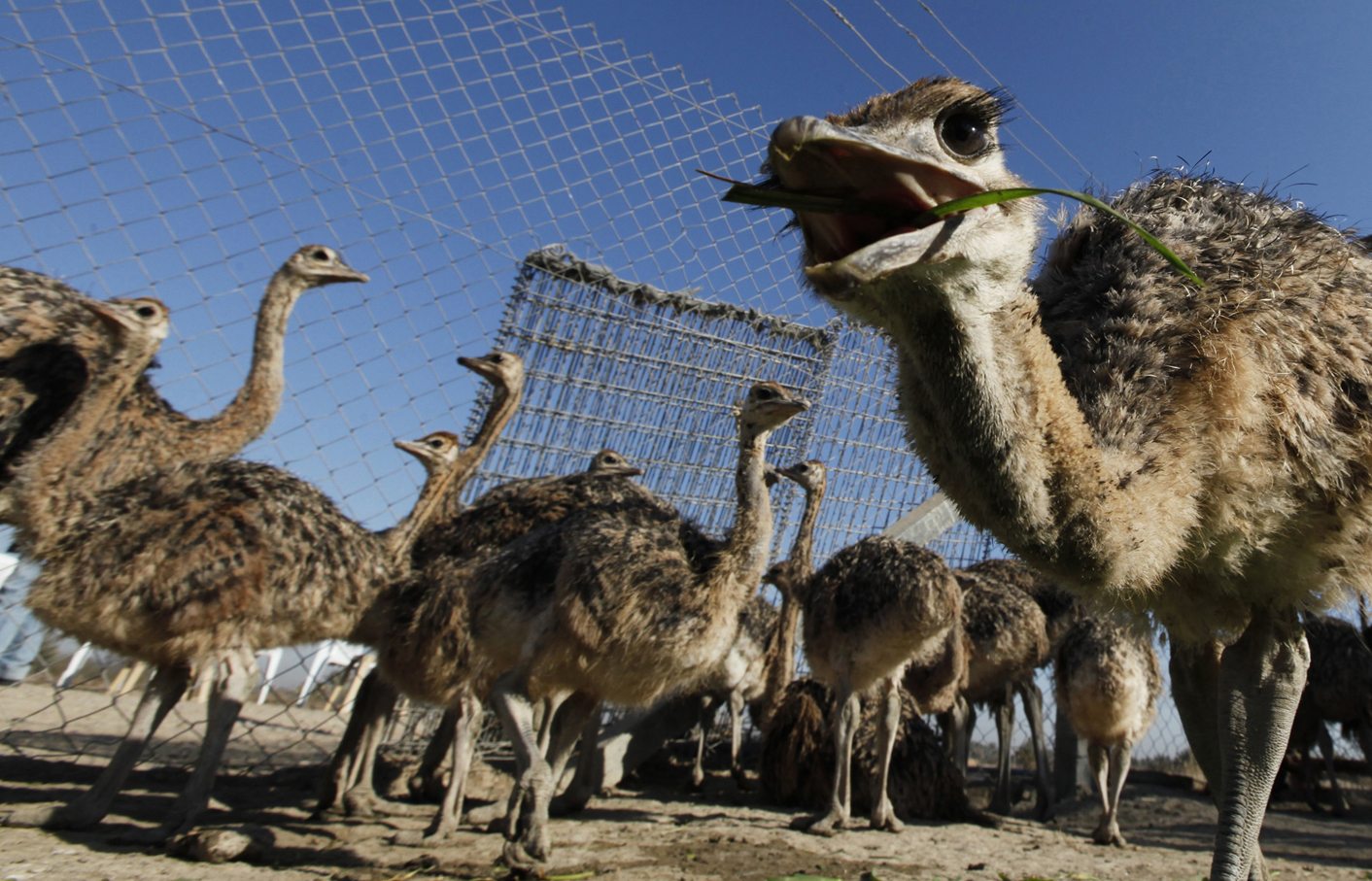 FIVE MINUTES: South Africa