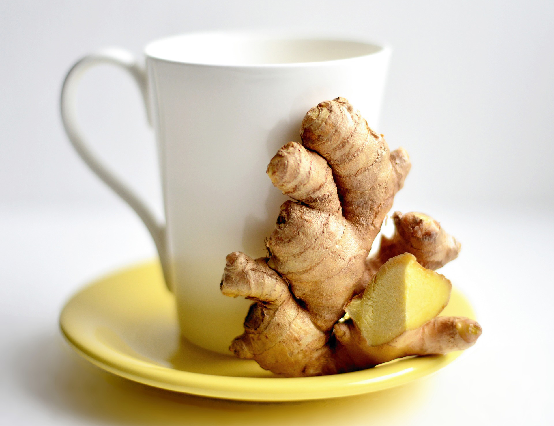 Exiled in the Land of Bland