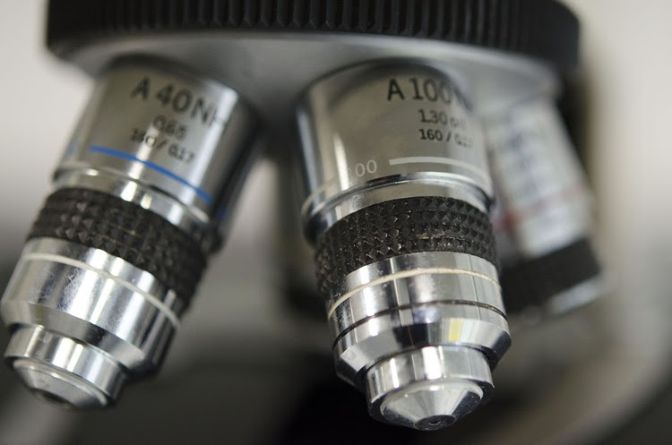 National Research Foundation cuts hurt South Africa’s scientists