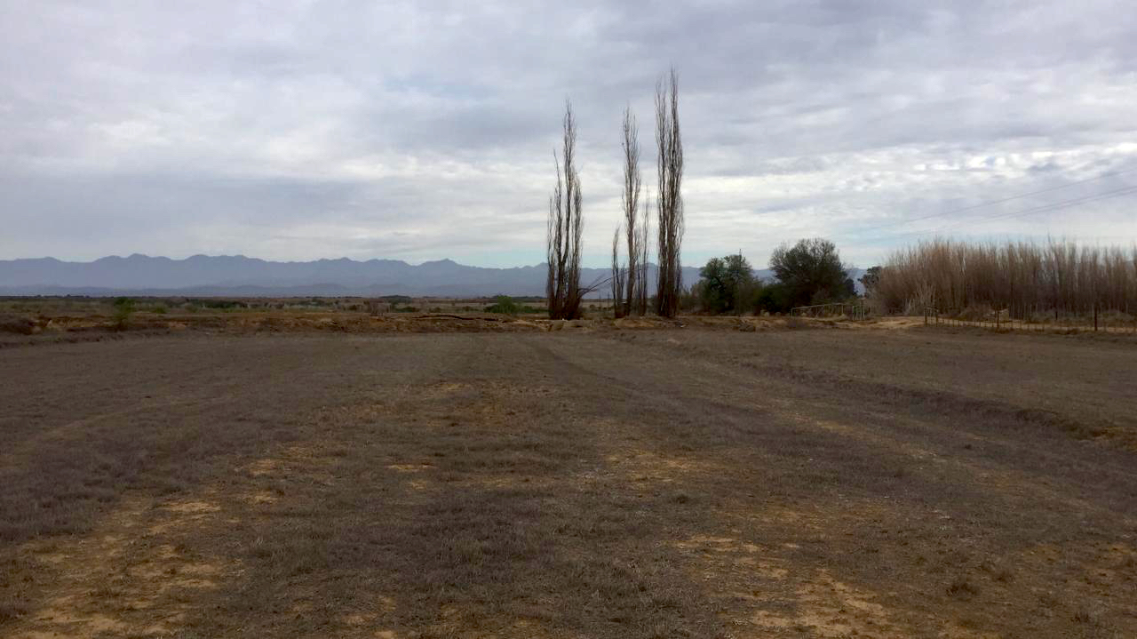 Climate crisis decimates Western Cape agriculture