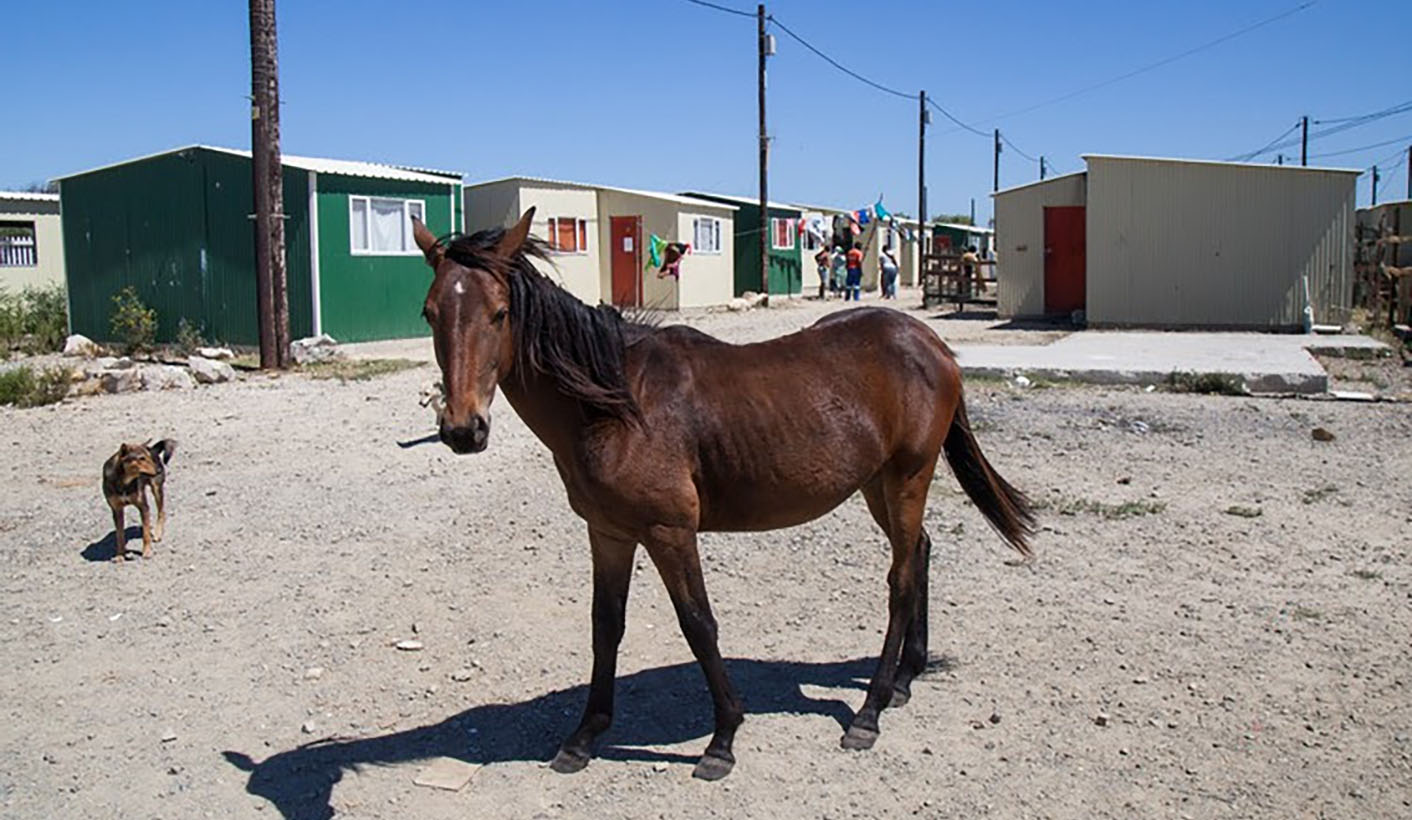 GroundUp: Eviction and the law – what the Constitutional Court says