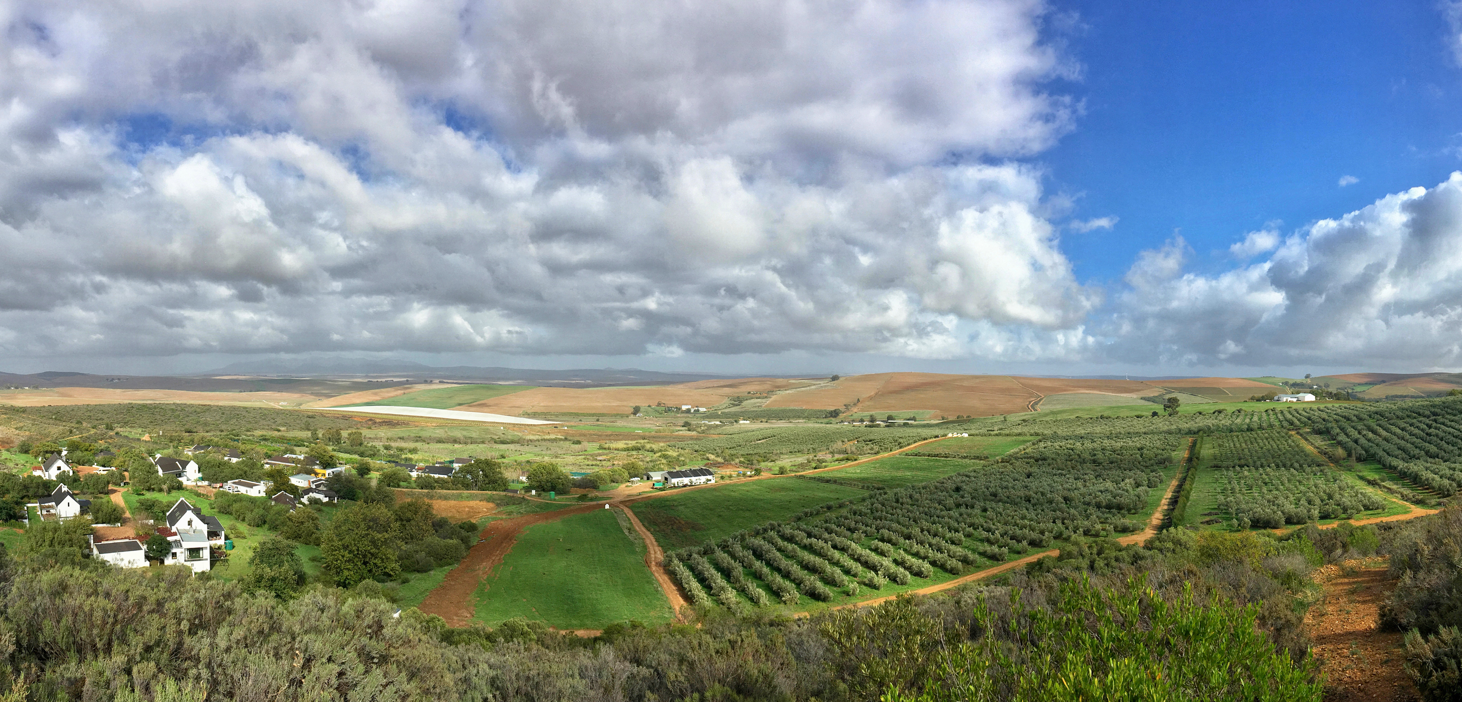 Goedgedacht farm in the Riebeeksrivier Valley is where the Path