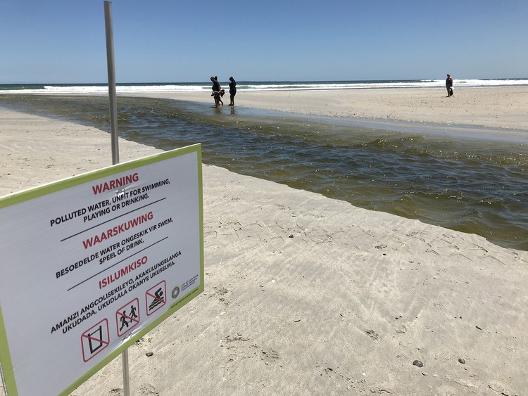 Polluted Milnerton lagoon 'particularly disgusting'