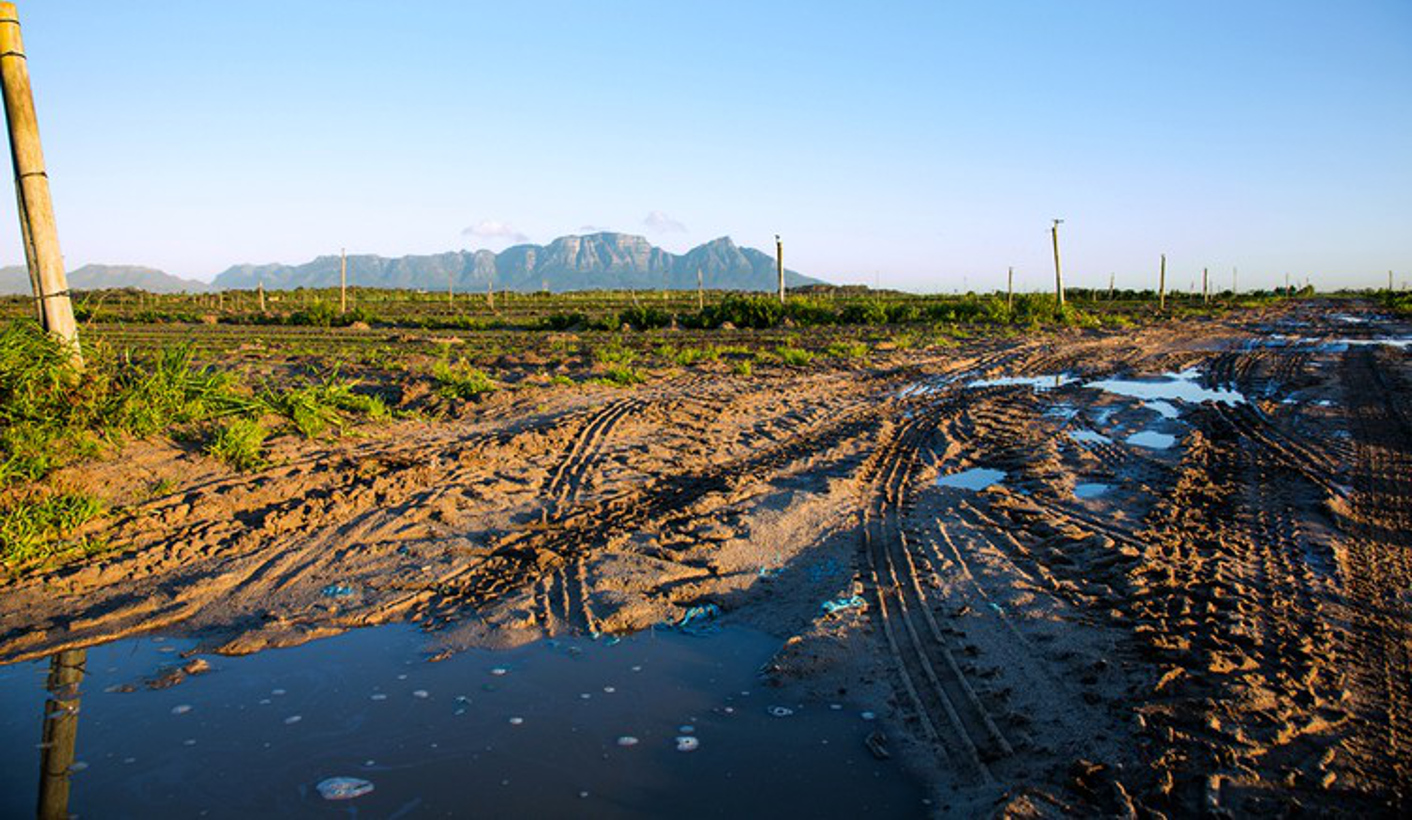GroundUp: Cape Town’s food basket faces uncertain future