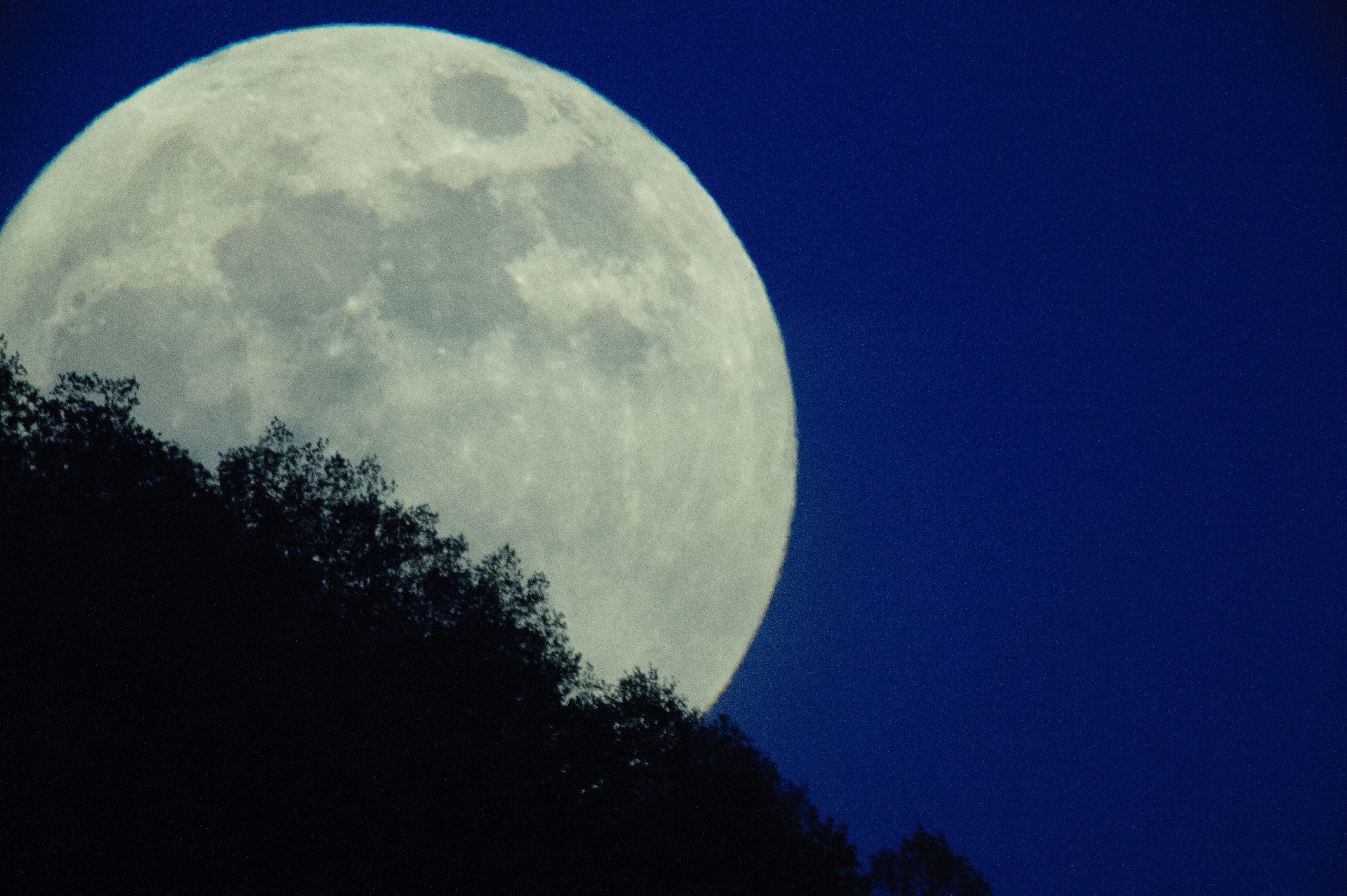 Got any signal up here? Nokia to build mobile network on moon