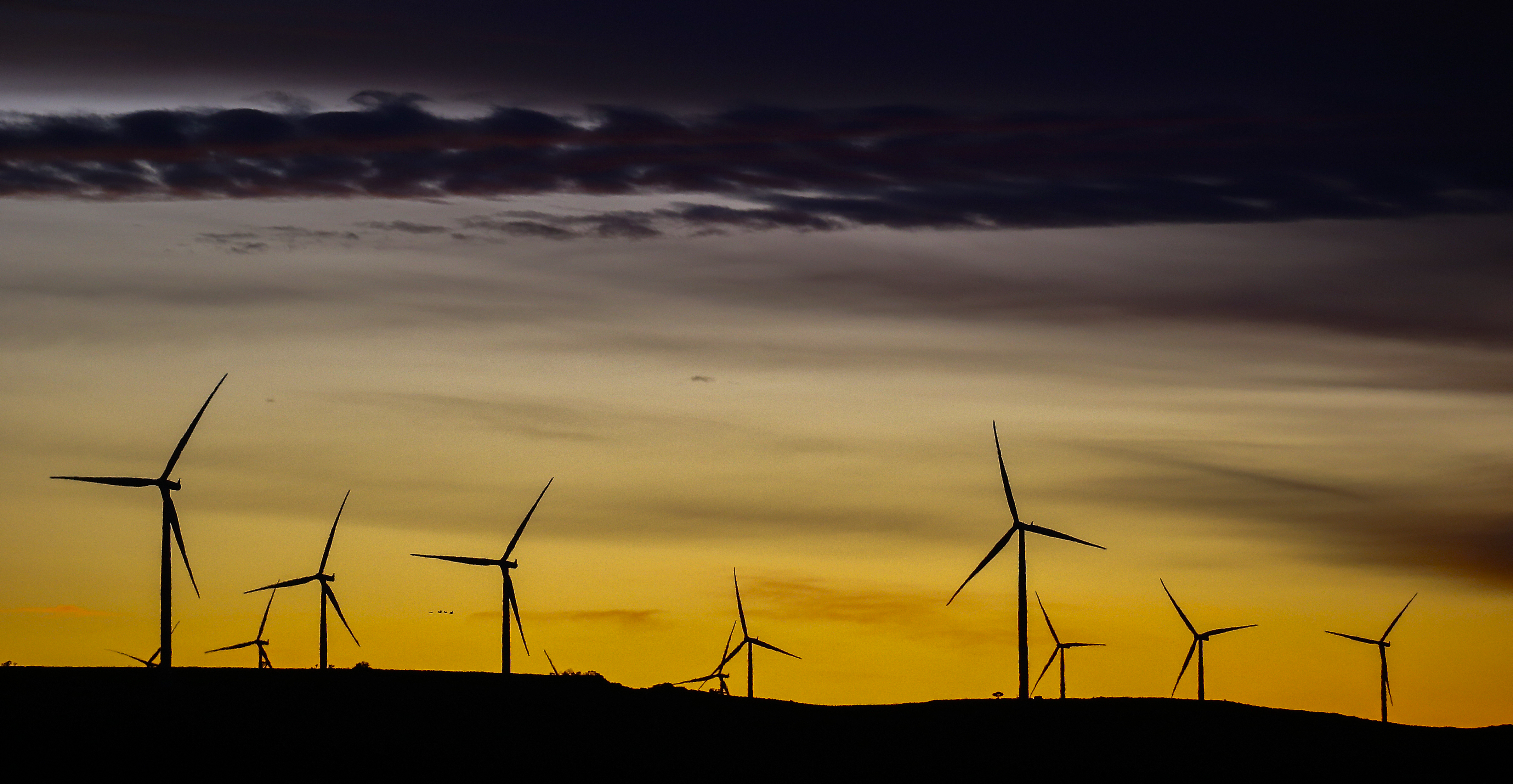 Saving the planet and saving money becoming more closely aligned