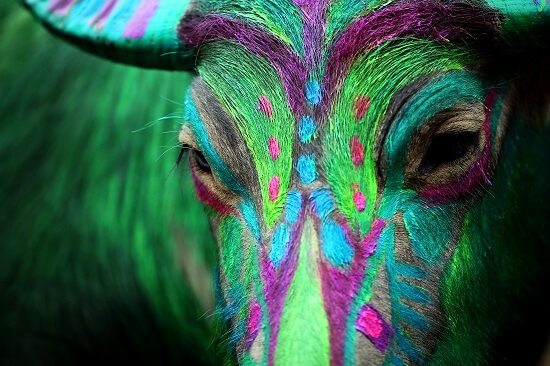 While you were sleeping: 3rd February 2017