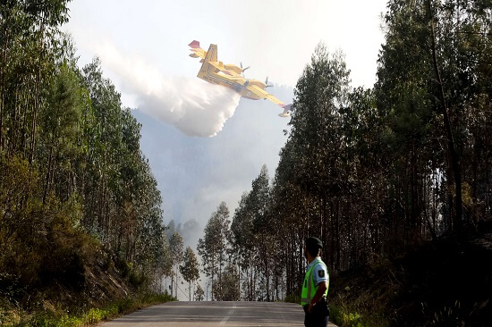 While you were sleeping: 21 June 2017