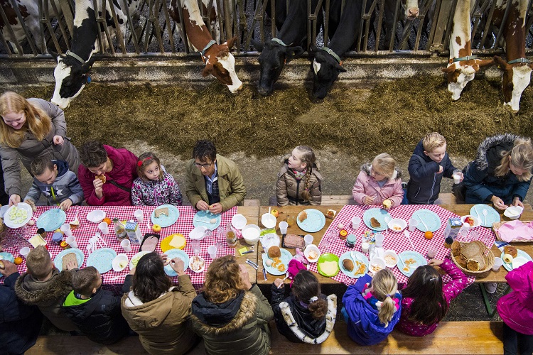 While you were sleeping: 13 November 2018