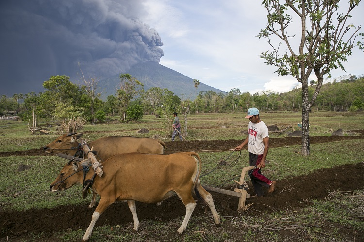 While you were sleeping: 27 November 2017