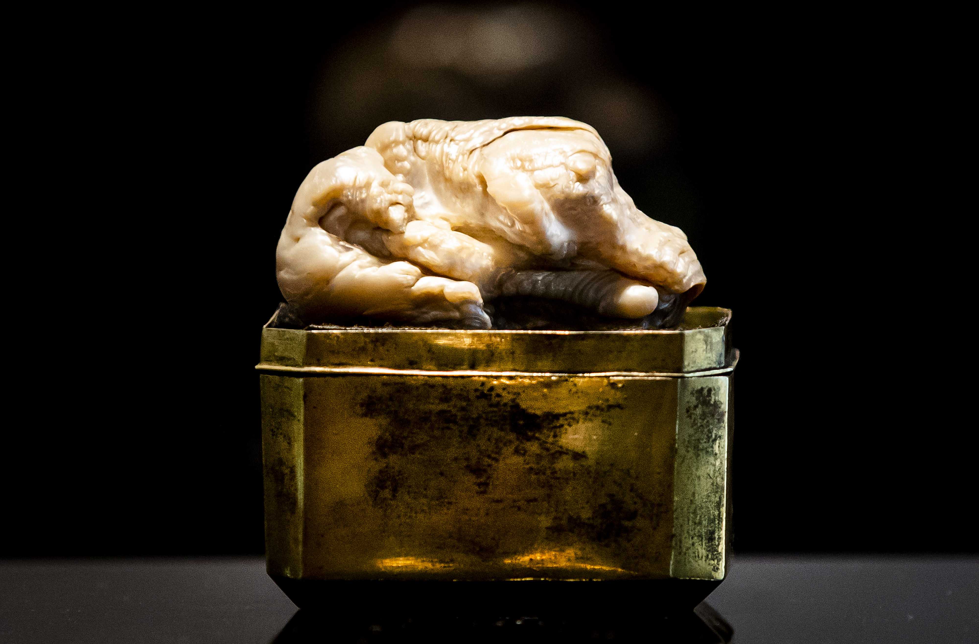 World's largest freshwater pearl goes for 320,000 euros