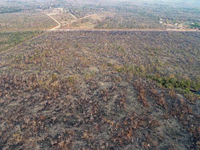 Brazilian Amazon region suffers record amount of fires