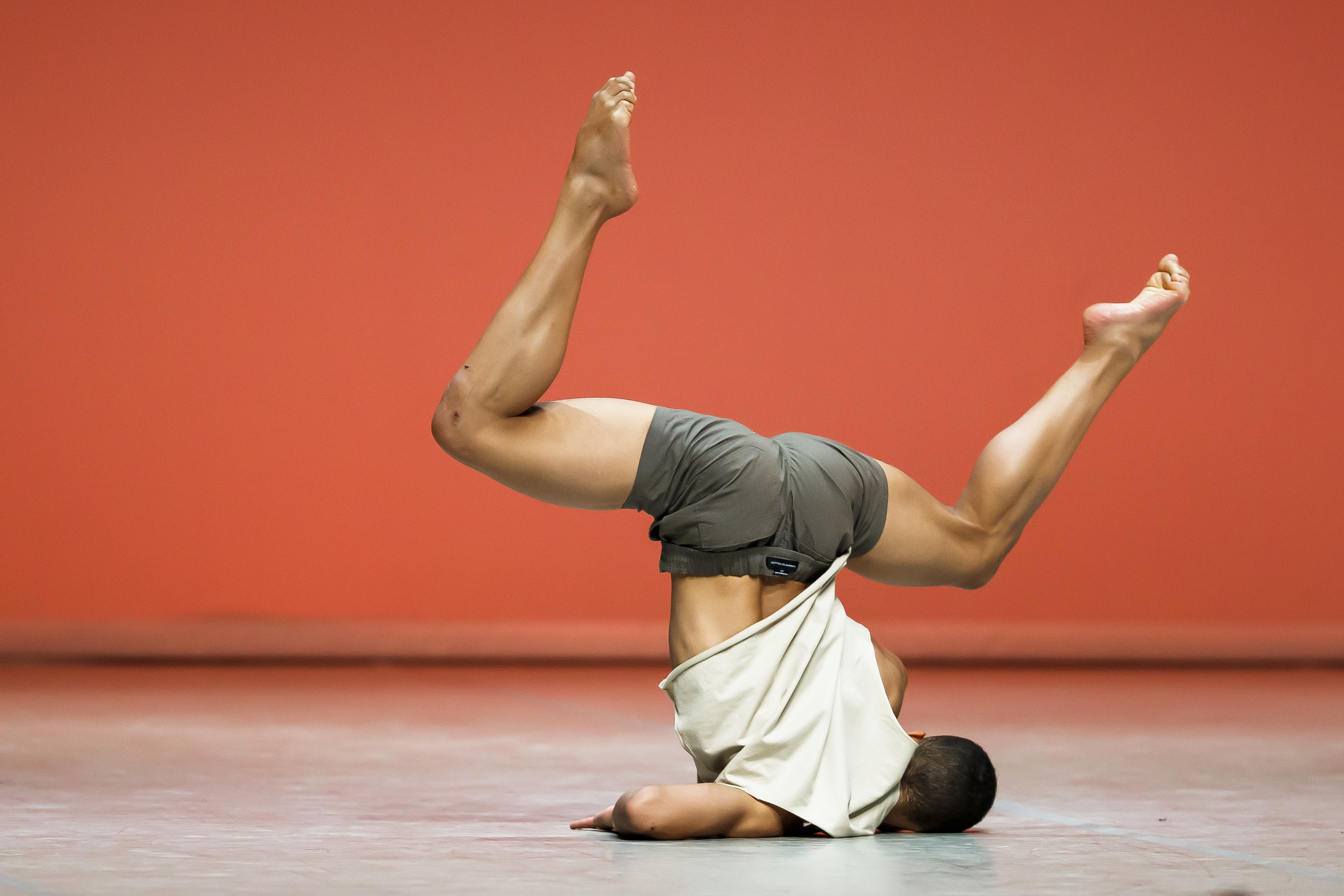 The week in pictures – 15 February 2020