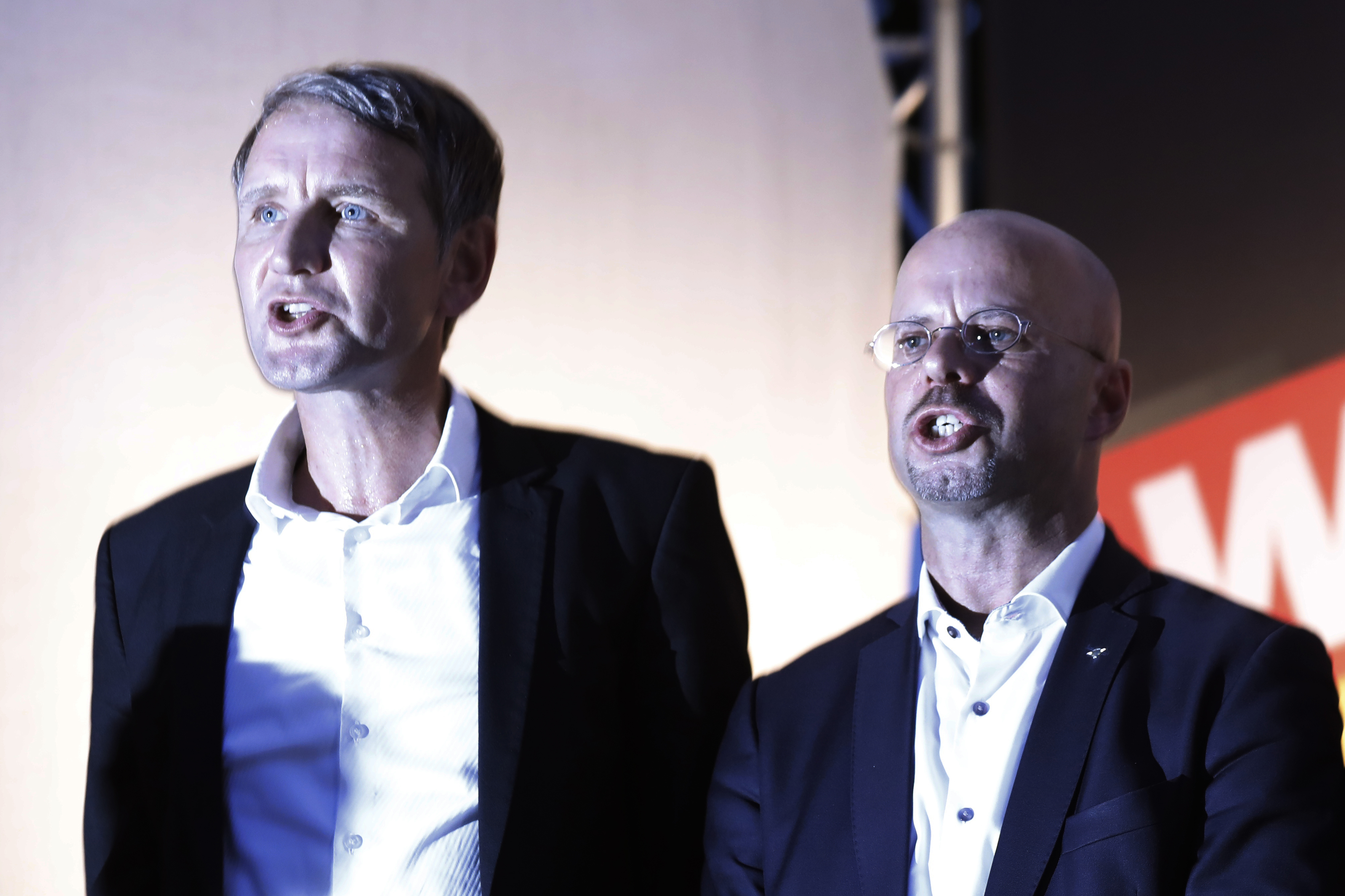 Germany designates radical wing of far-right AfD as "extremist entity"