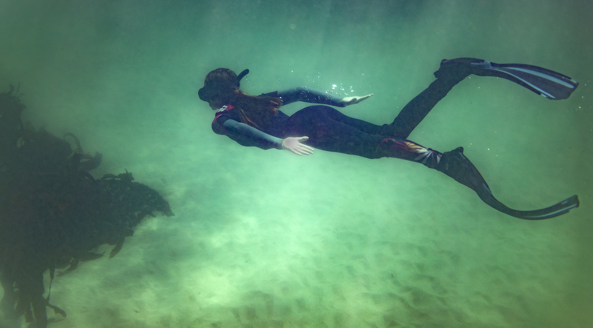 Covid-19 gave us a chance to listen to the silent seas