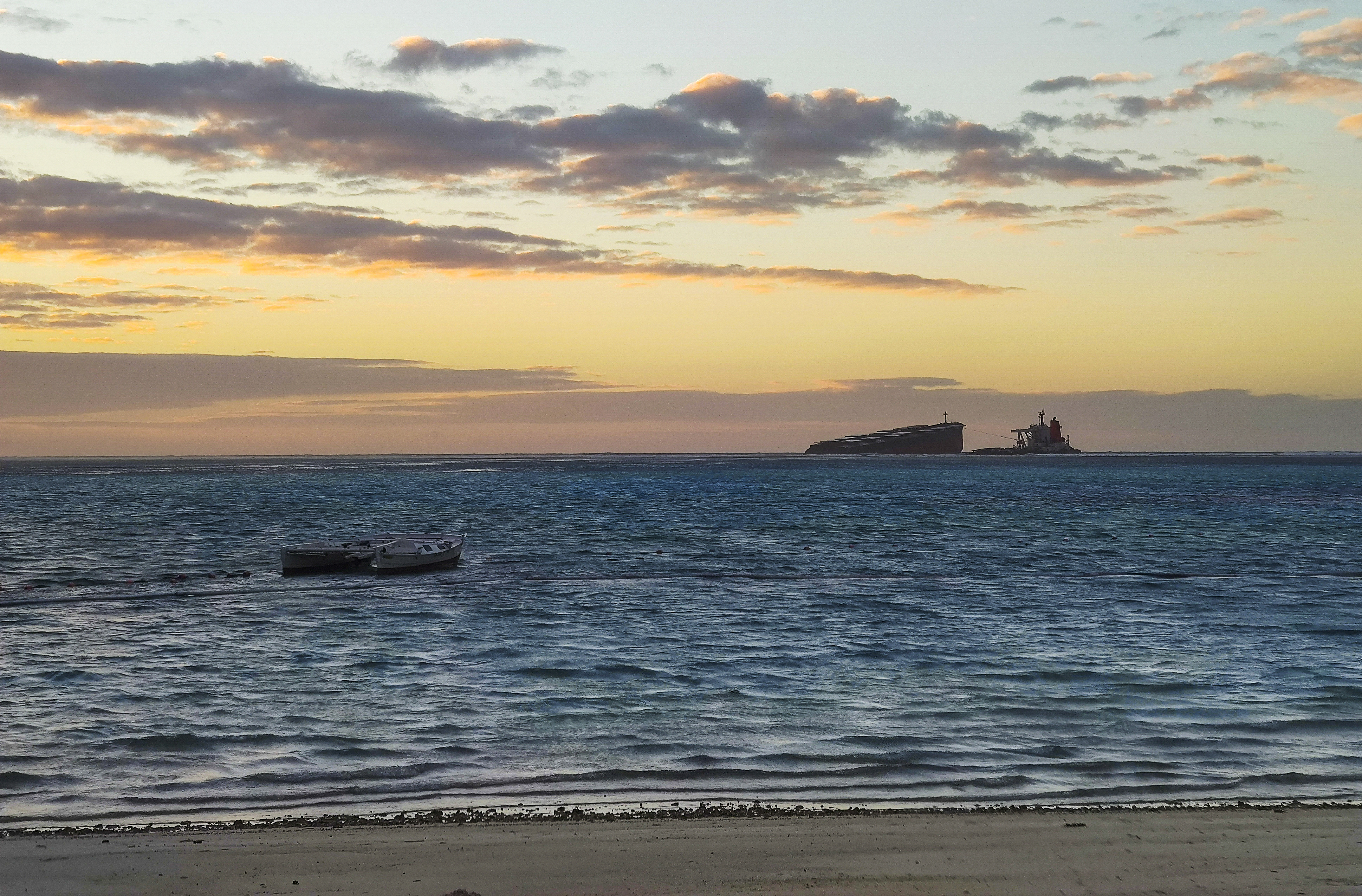 Seven more dolphins found dead on Mauritius beach near oil spill