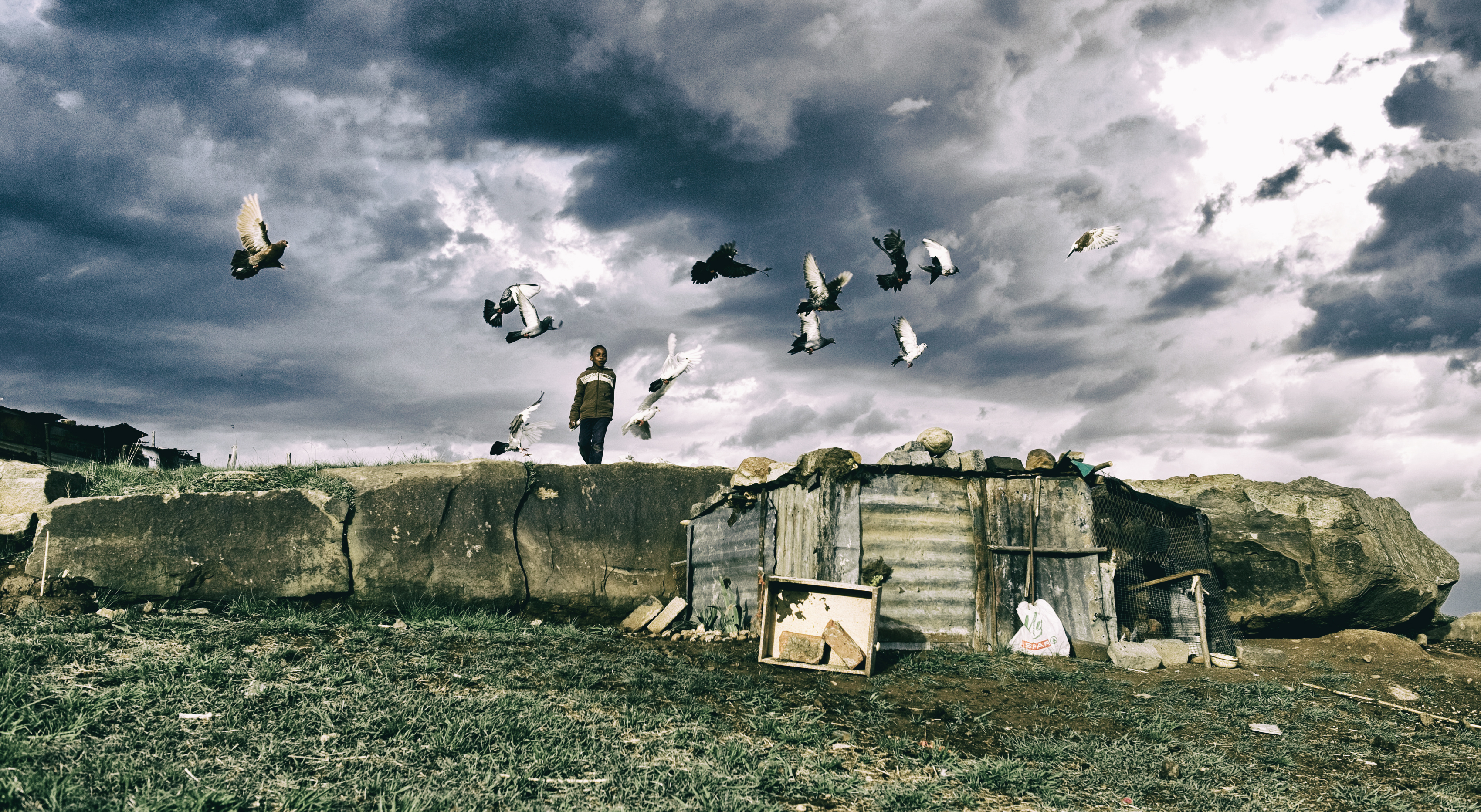 The war on our minds