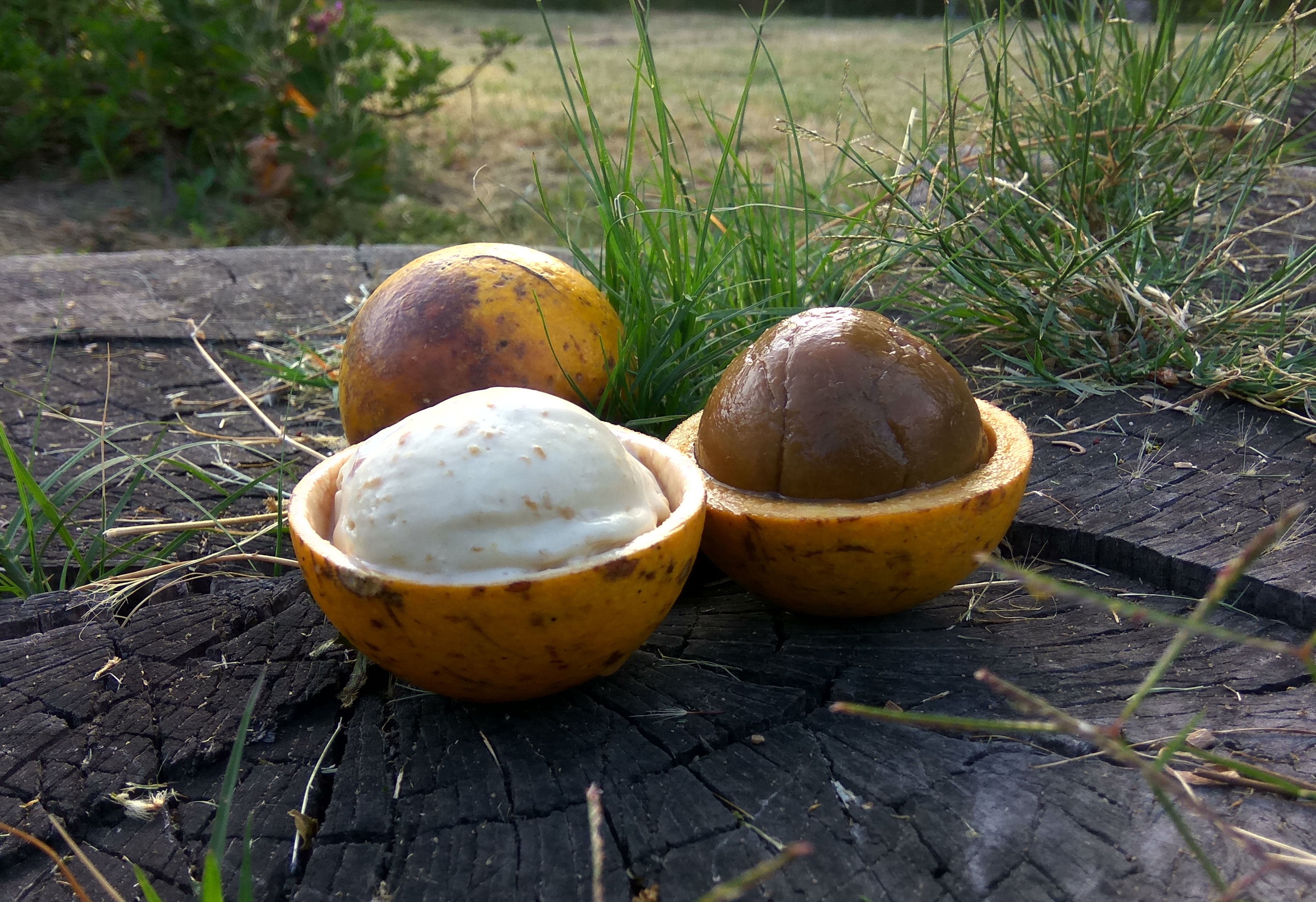 Tapping into ice cream memories